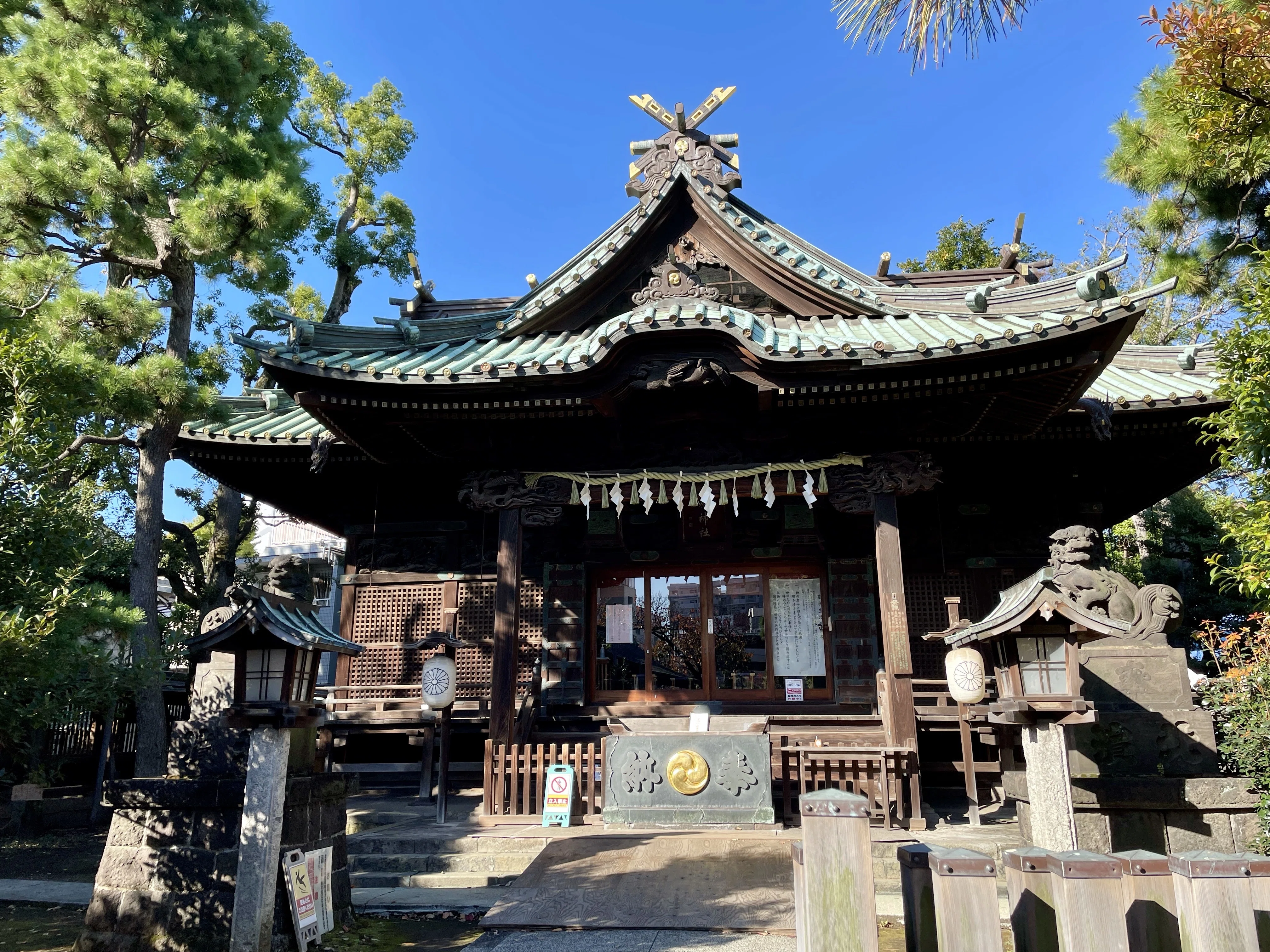 🕊 屋根から覗く龍神様の迫力！｜荏原神社｜霊峰富士 龍の女神 夜空希