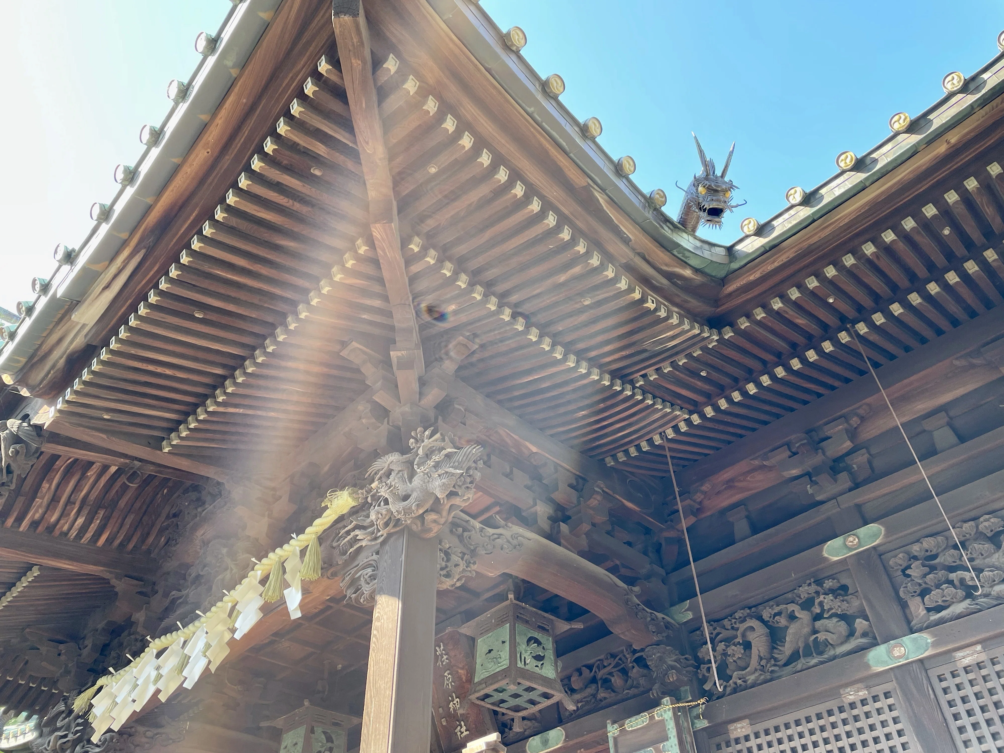 🕊 屋根から覗く龍神様の迫力！｜荏原神社｜霊峰富士 龍の女神 夜空希