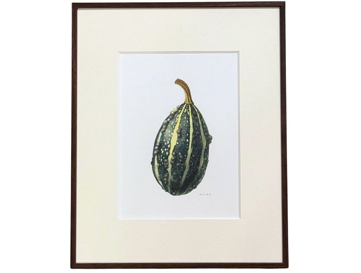 額装迷走中〜ペポカボチャの水彩画〜｜田代わこ