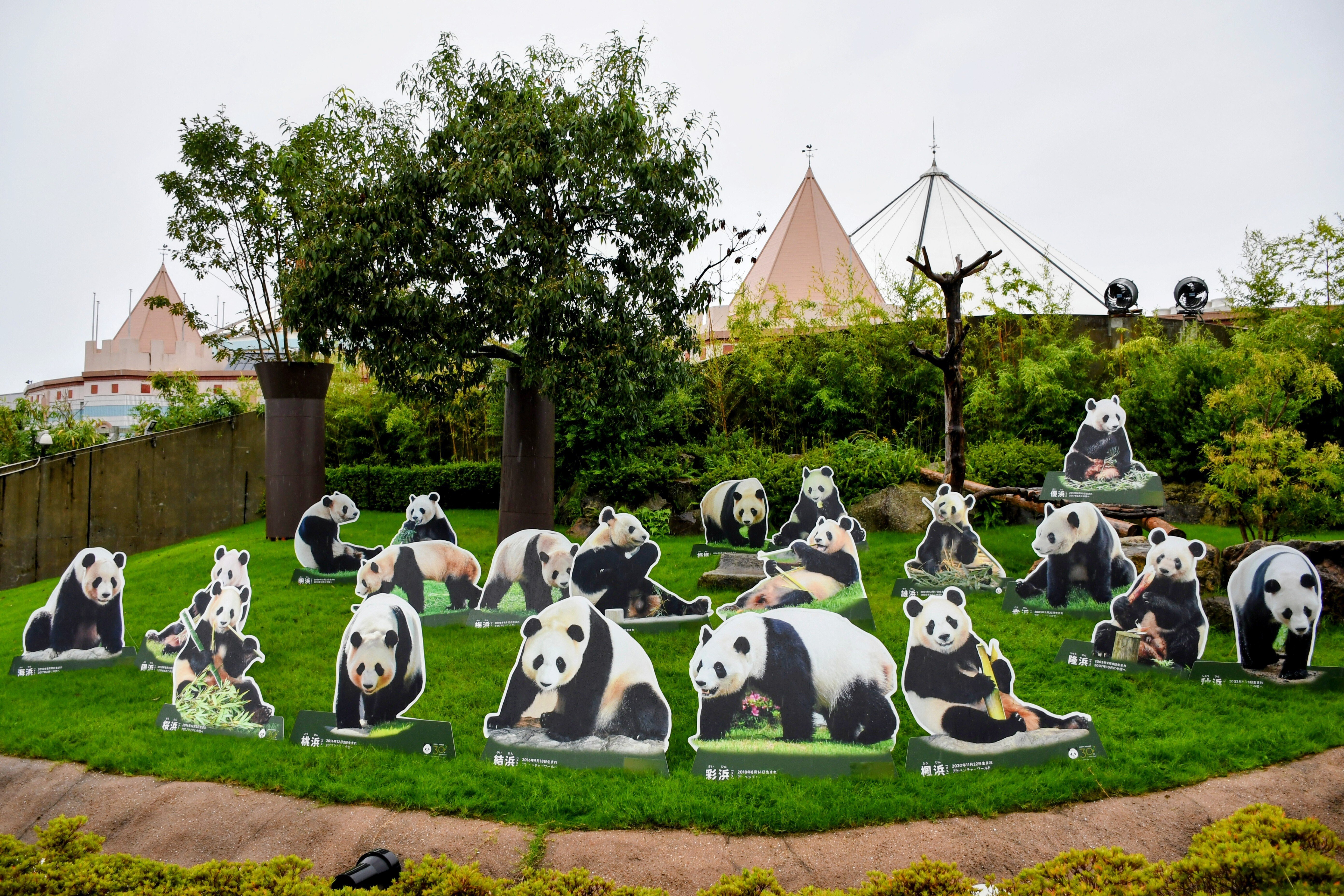 PANDA LOVE CLUB🩷感謝DAY ADVENTURE WORLD🎡｜りこひん