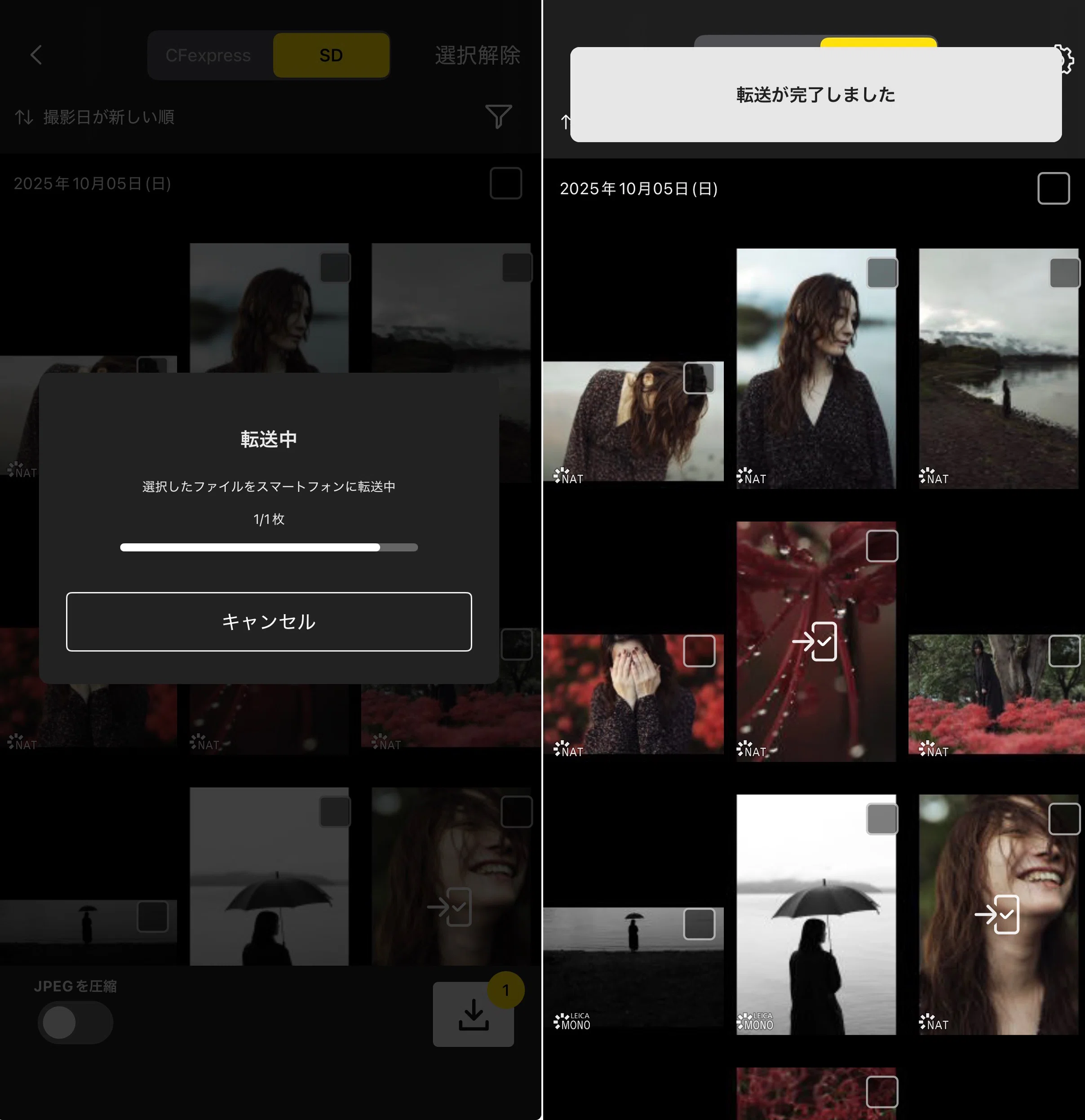 スマホアプリ「LUMIX Lab」の使い方（接続・転送・編集の基本操作編