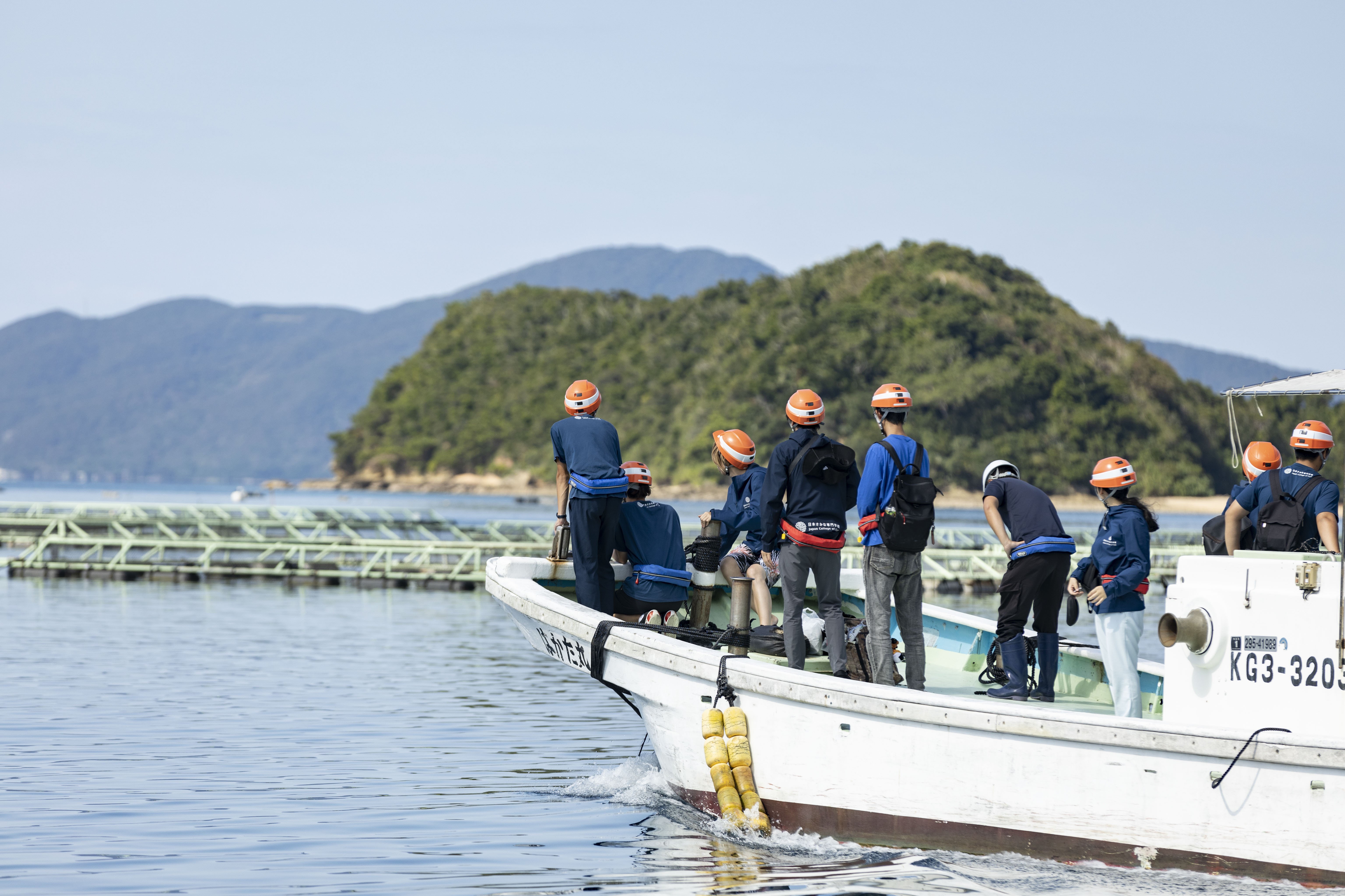 さかなさん専用☆青本☆早稲田大学 教育学部 文系 2015、2020、2023 12月14日開催！さかなクン特別講義にギョ招待！ | 一般社団法人SD