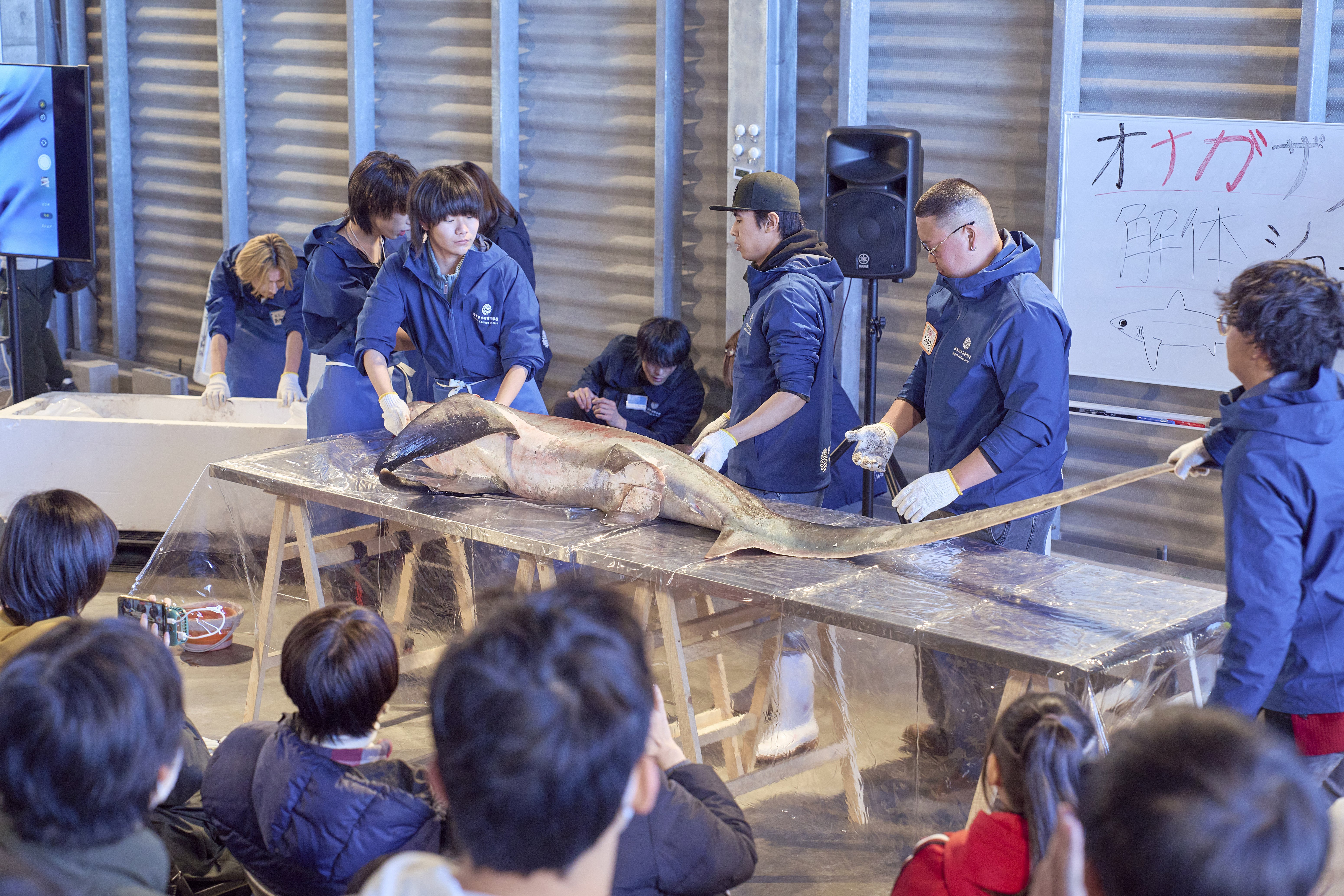 さかなの教員＞を目指すための説明会11/8（土）開催！「日本さかな専門