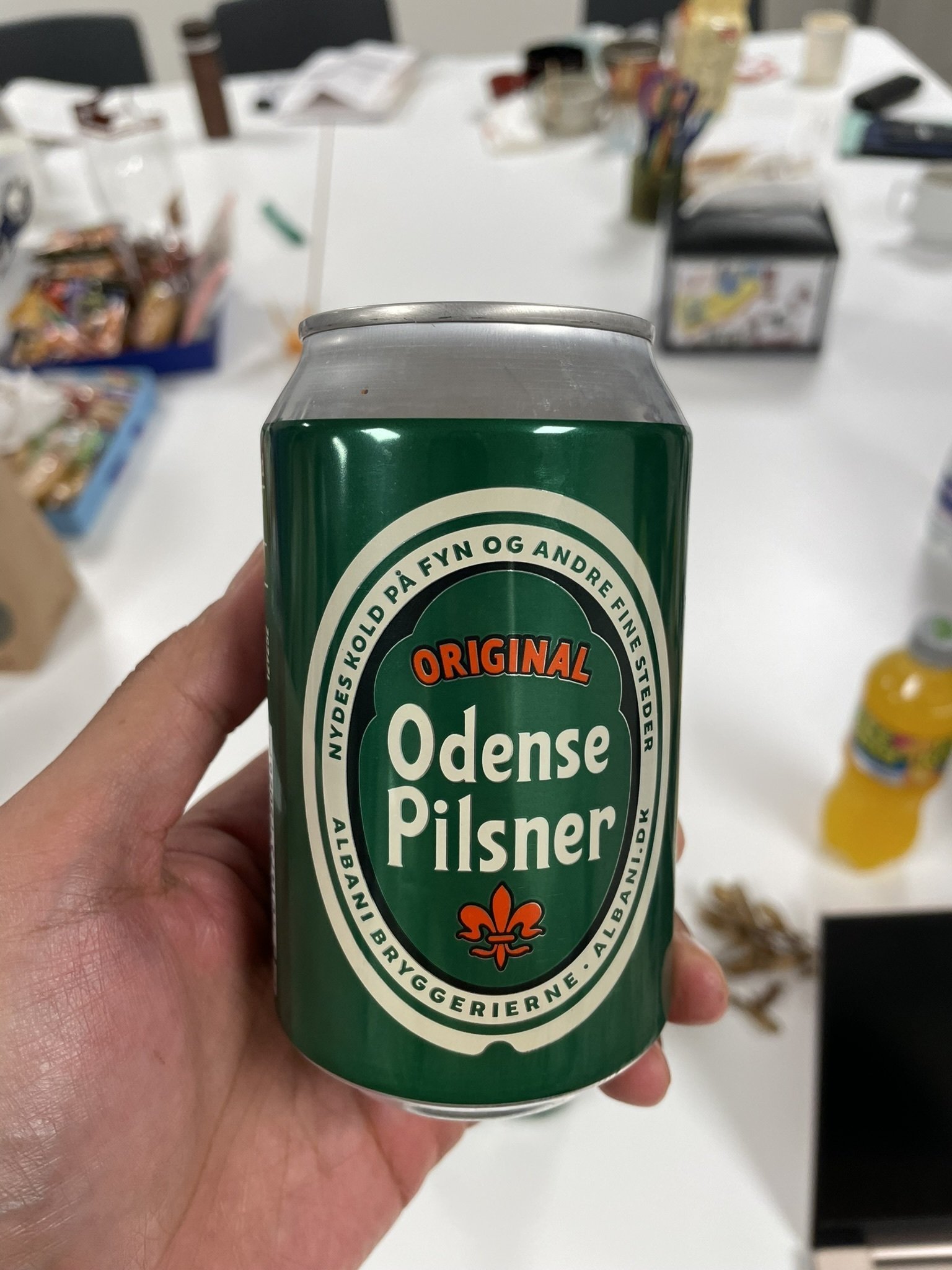 4 Be the change デンマーク・スウェーデン福祉研修記｜入倉 遼平