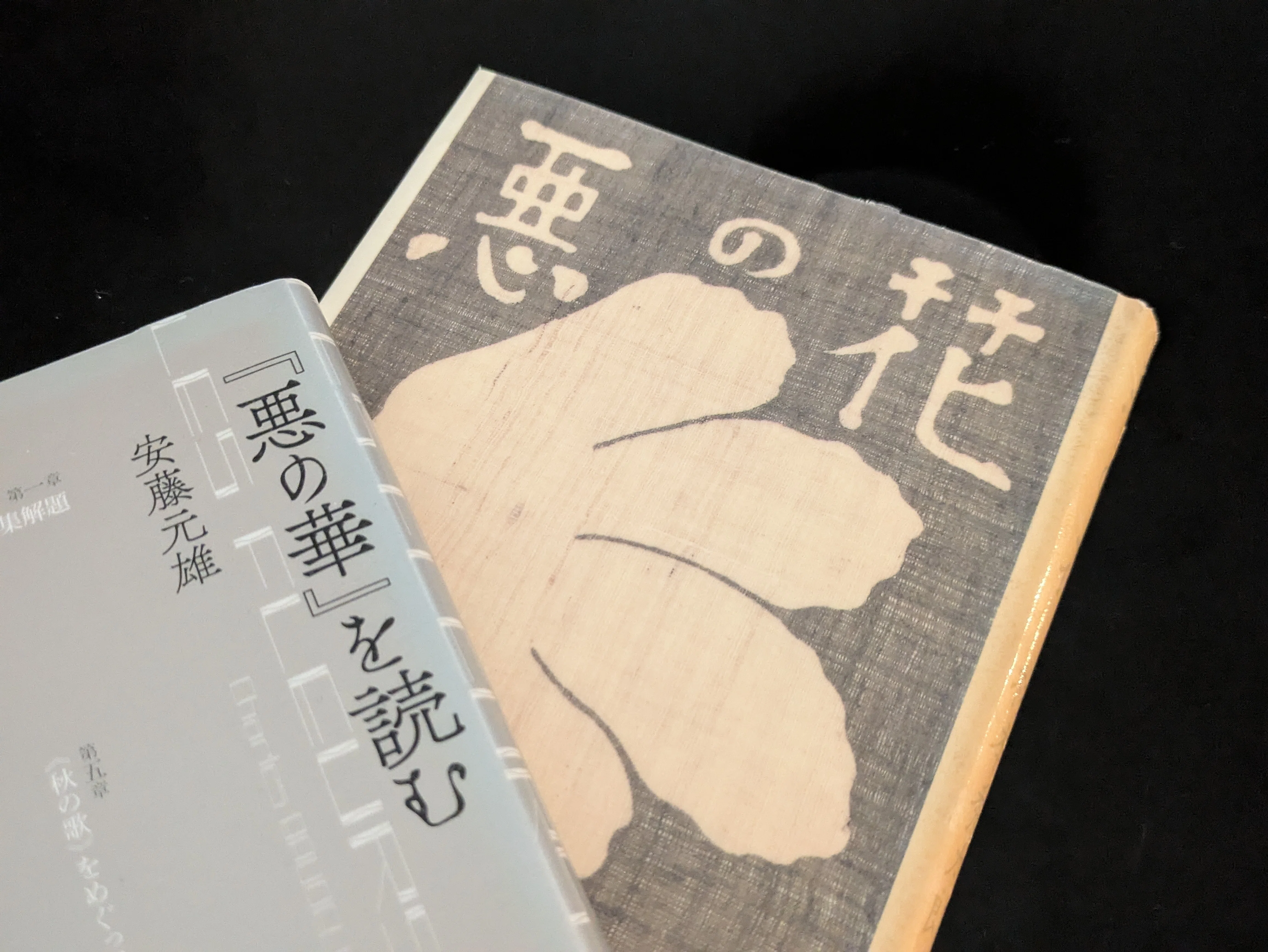 悪の華』が気になって｜さくまなおこ (graffy)