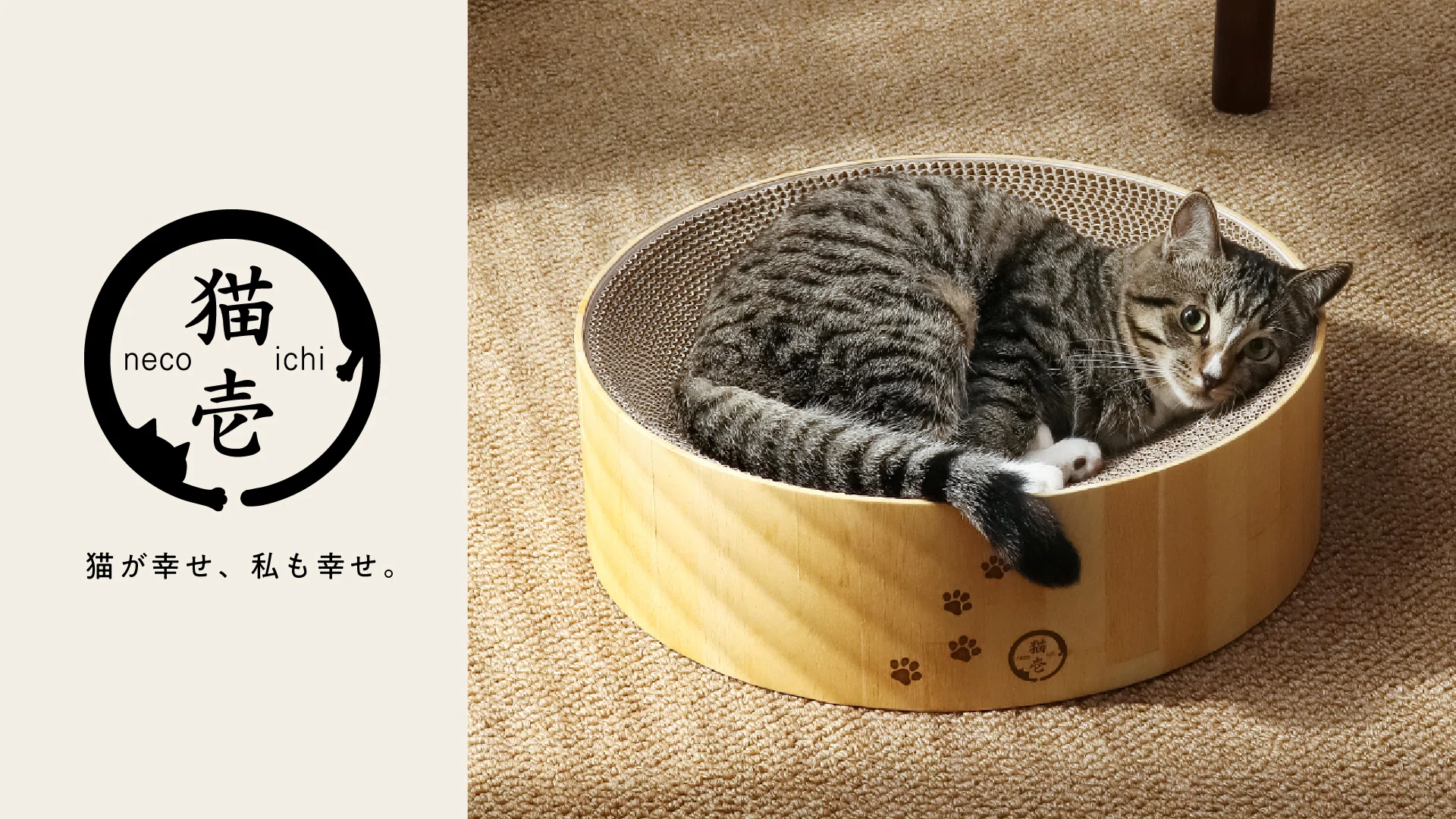 猫壱】「猫心忘るべからず」猫愛に溢れた新オフィスを大公開！｜MOON-X