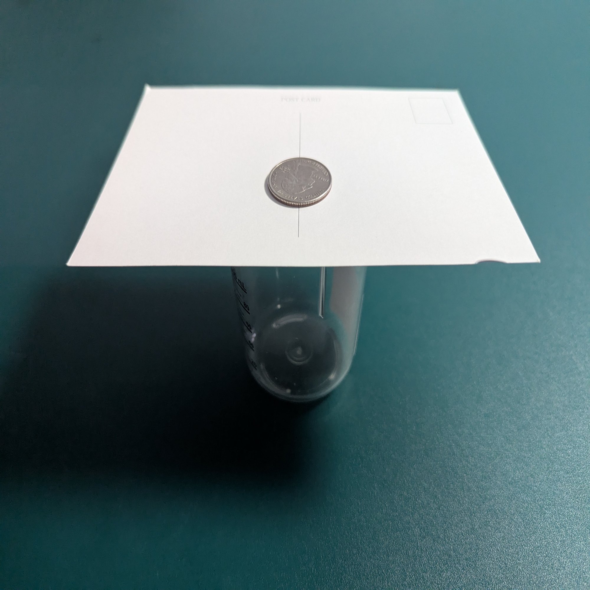 物理実験④運動会(Undoukai)251030｜satypalau