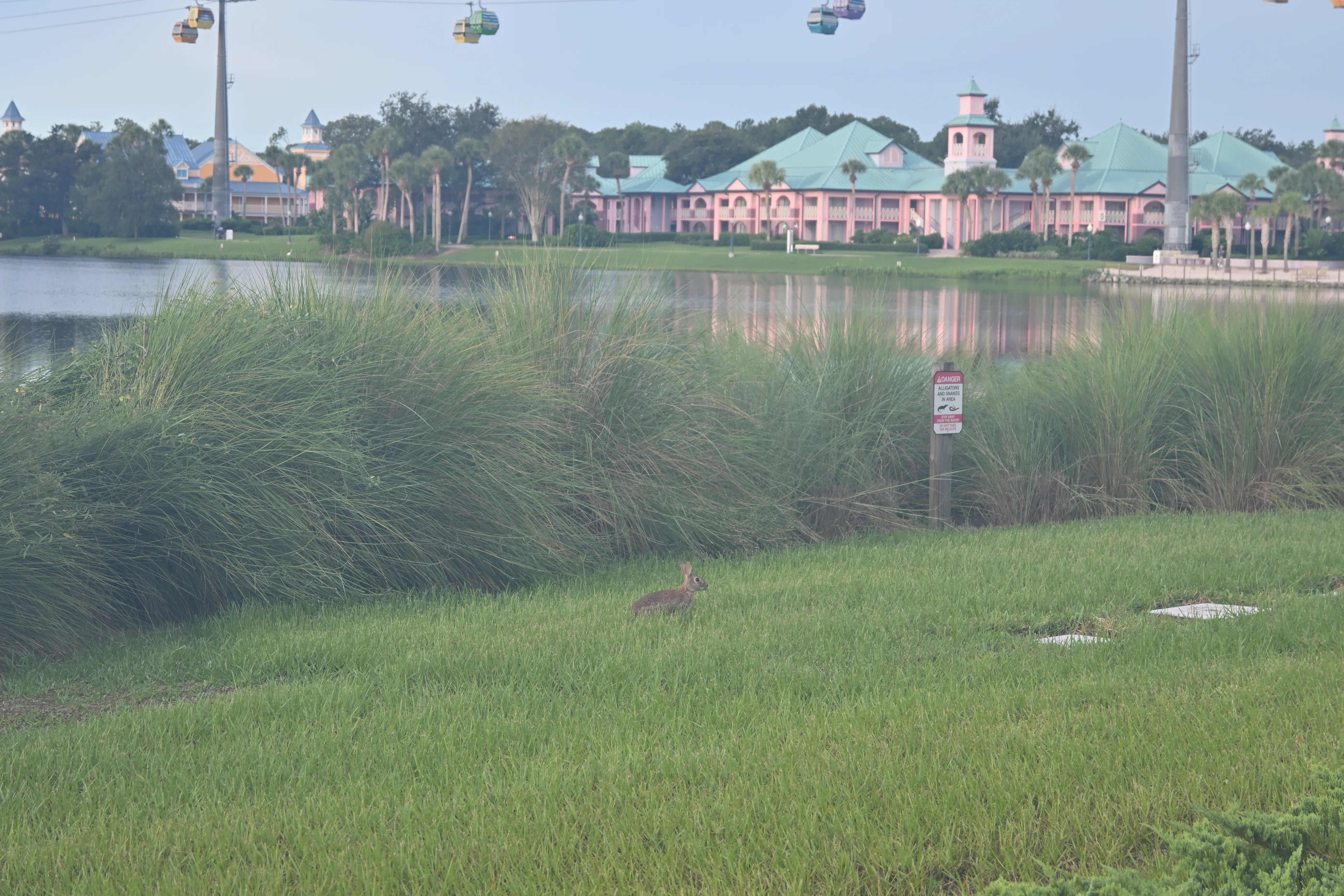 WDW 2025 (EPCOT その1)｜HAJ