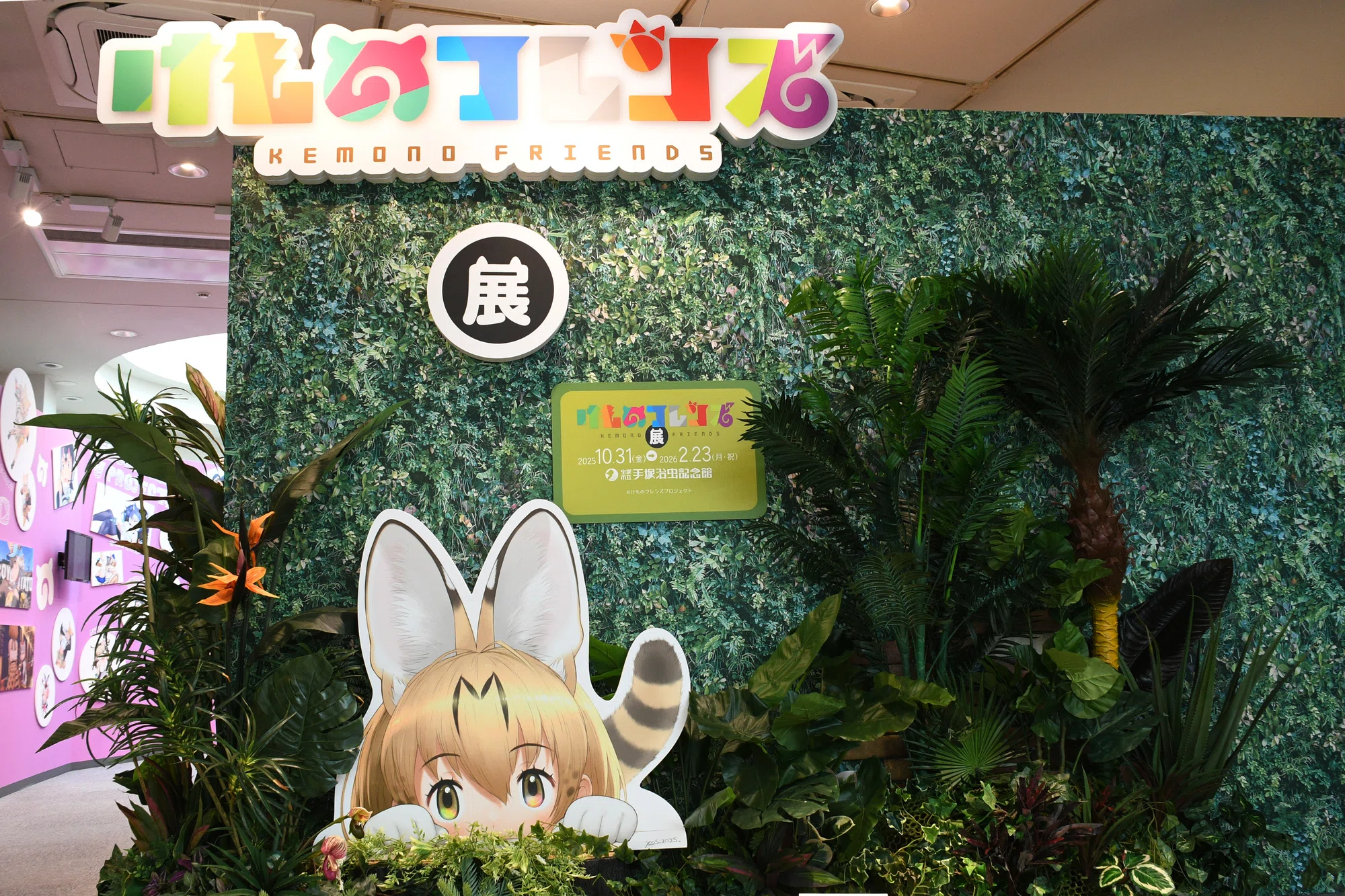 活動歴および当時の関連ビジュアル記録