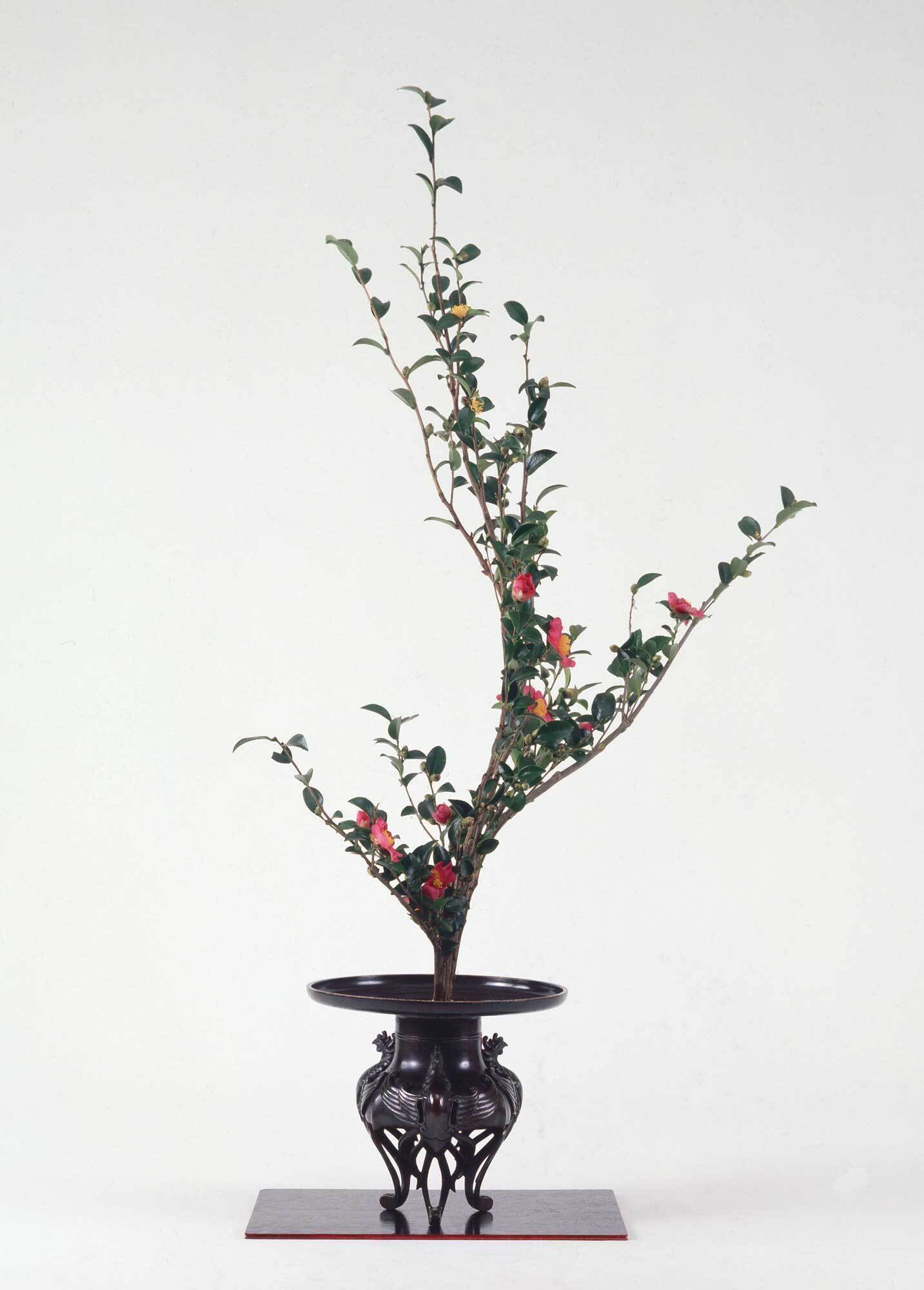 生花＝さざんかの枝の暢達な曲線を捉えて／立華=霧島つつじの力強い枝