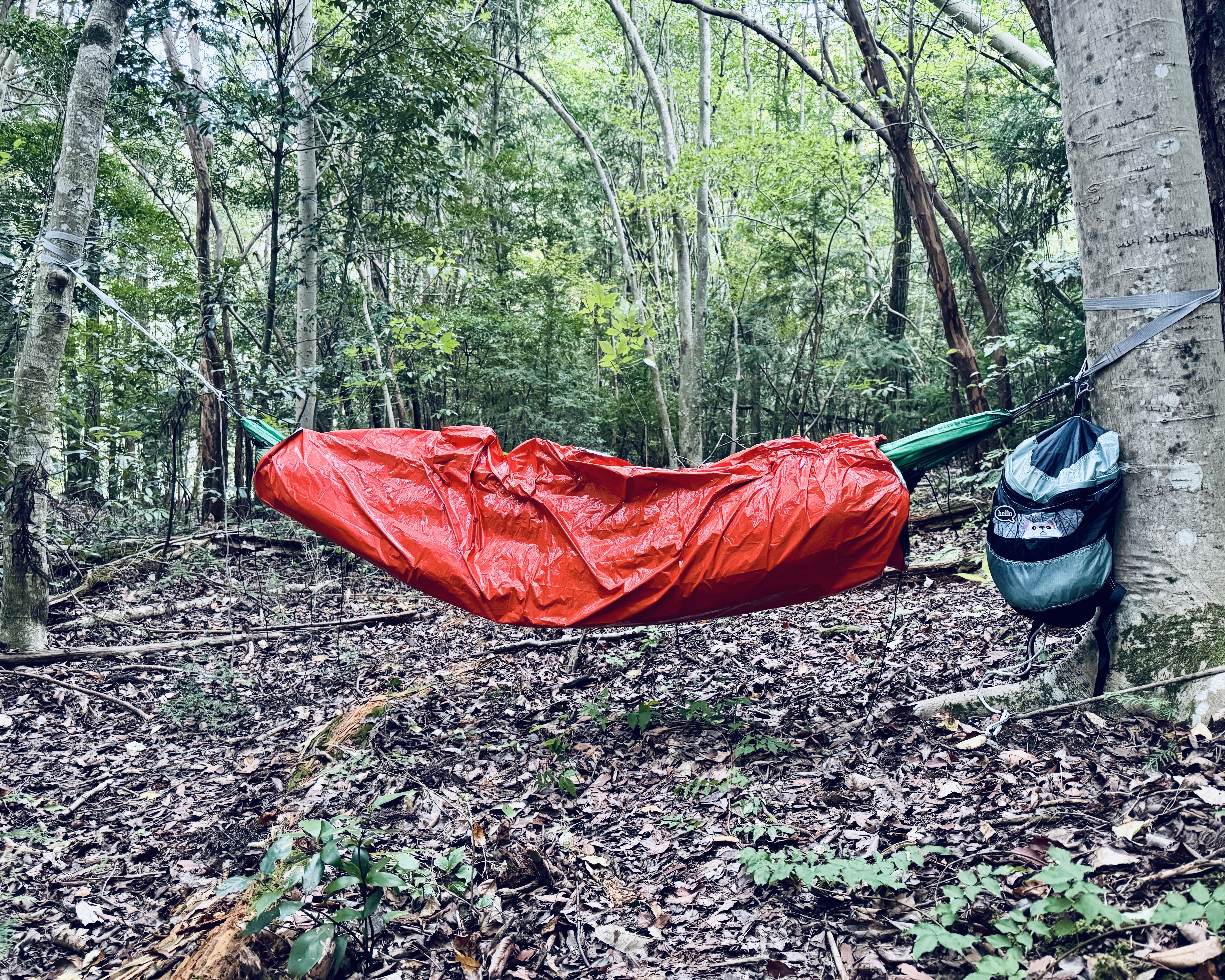 PPS #9 「ハンモックを縫う」｜piroshiparoshi