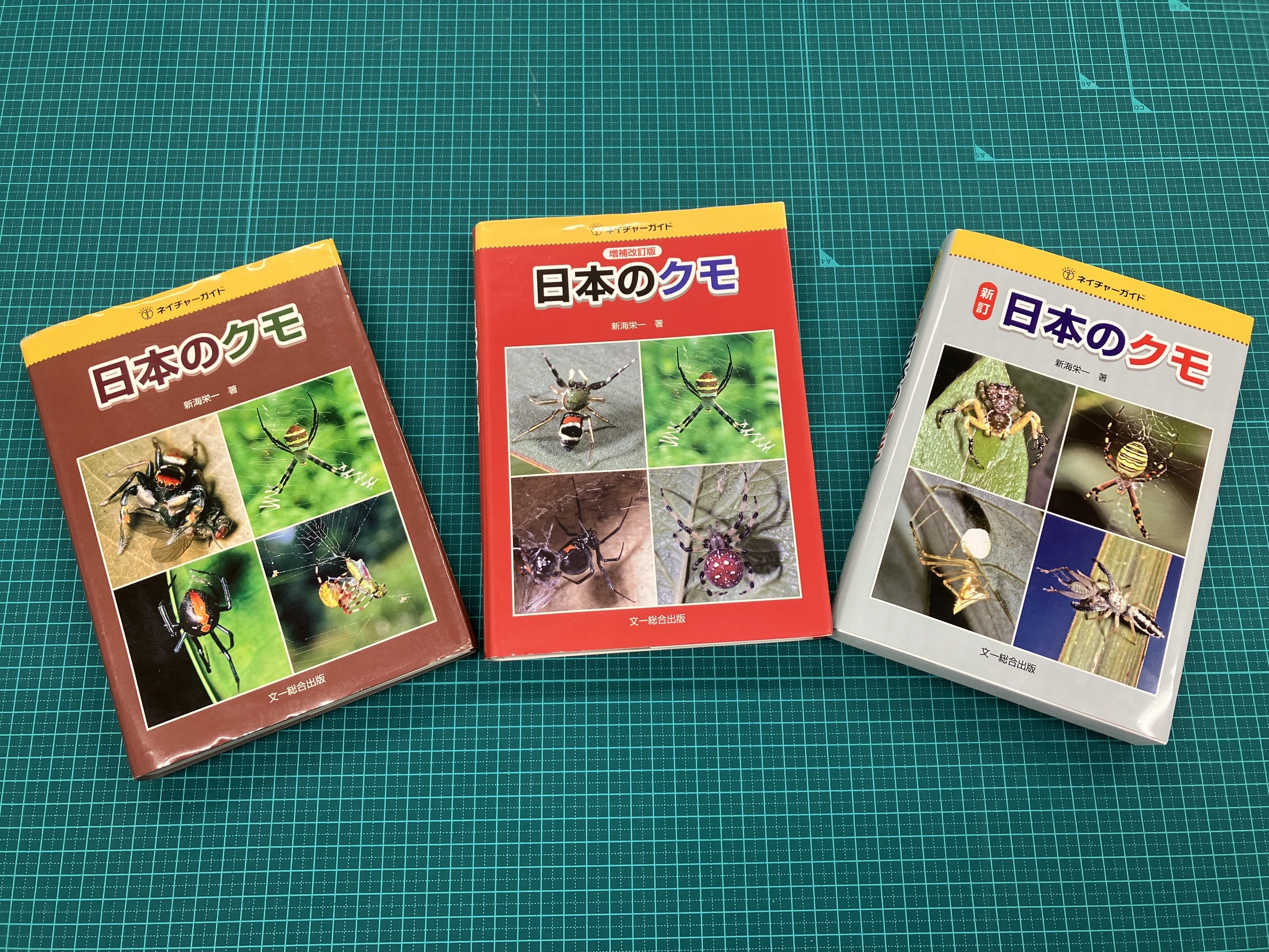 クモ図鑑の定番「ネイチャーガイド 新訂日本のクモ」はここがすごい
