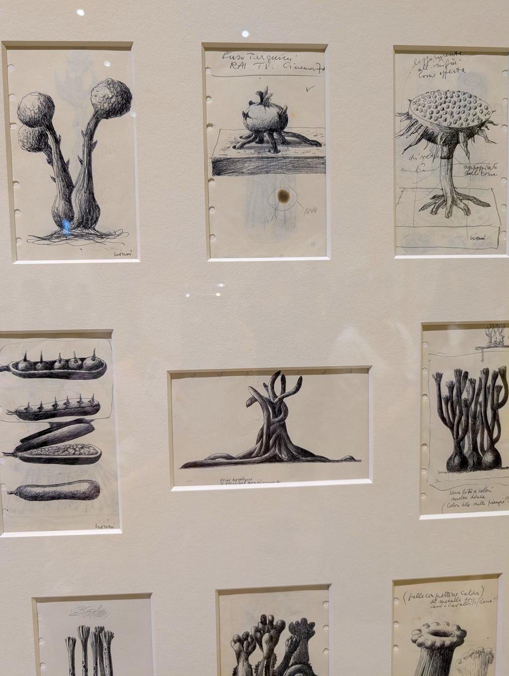 謎植物を見るつもりが、鼠と魚に癒されたレオ・レオーニ展【渋谷