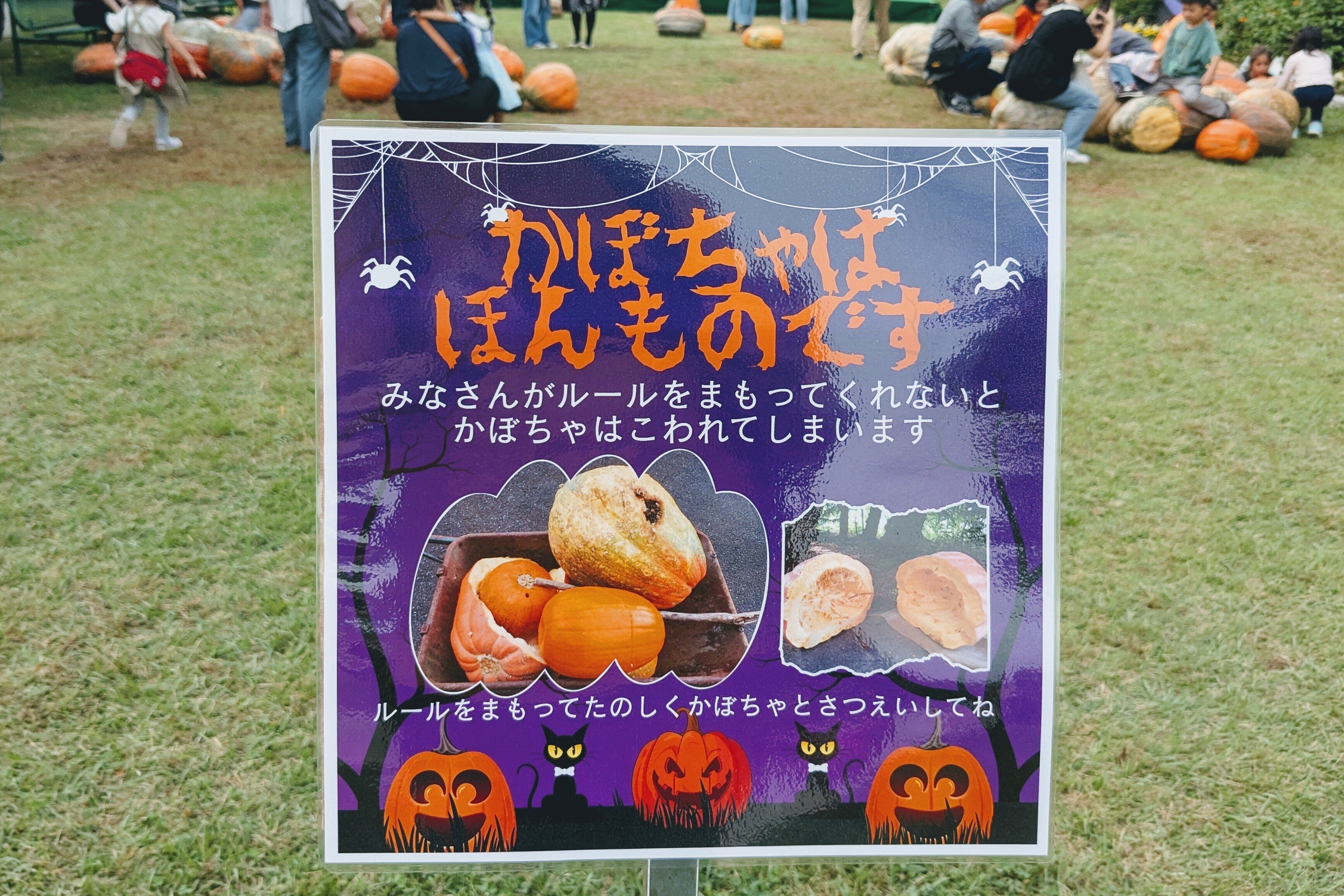 ハロウィンだから巨大なカボチャを転がしてきました｜夢の島熱帯植物館