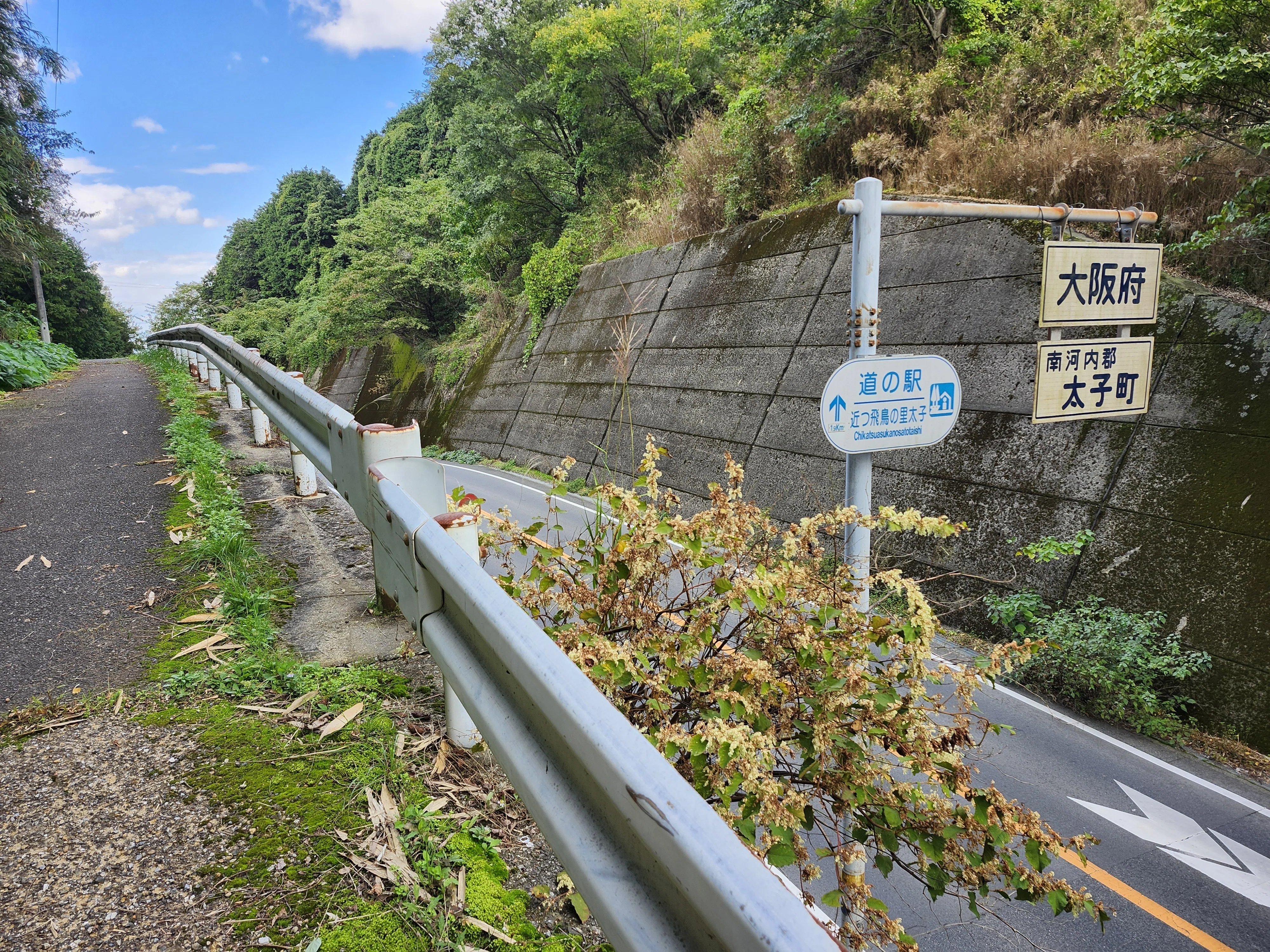 峠を越えて。竹内街道再訪⑤竹内峠｜大阪の街道を歩く
