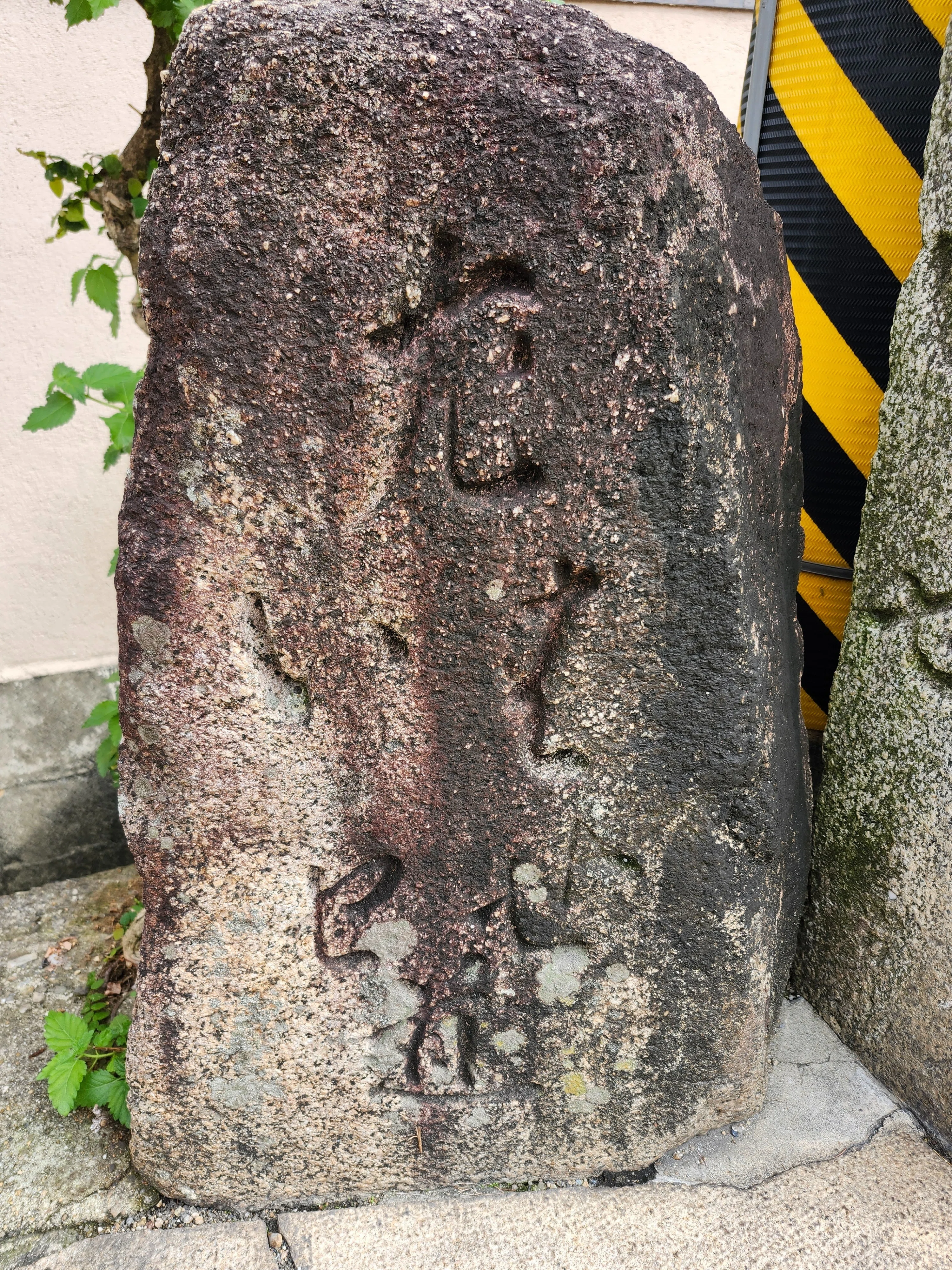 峠を越えて。竹内街道再訪⑧長尾神社へ｜大阪の街道を歩く