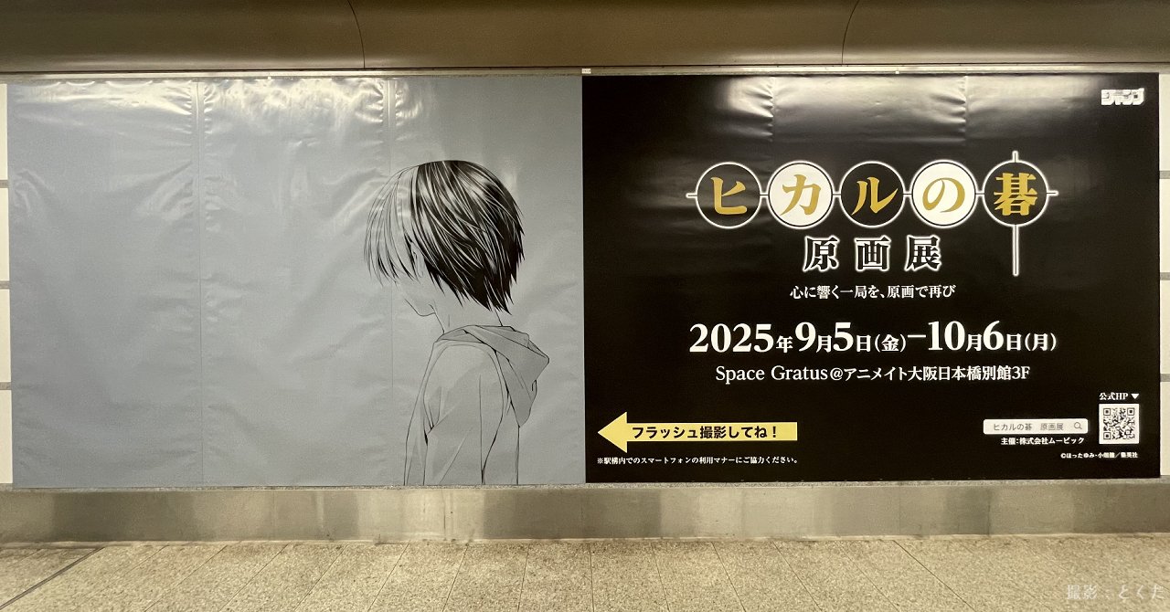 鑑賞記録】ヒカルの碁 原画展｜とくだ