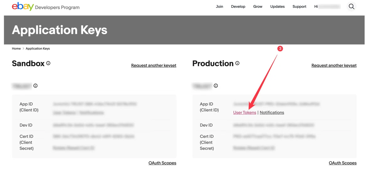 初めてのeBay Developers Program 登録｜うっしー