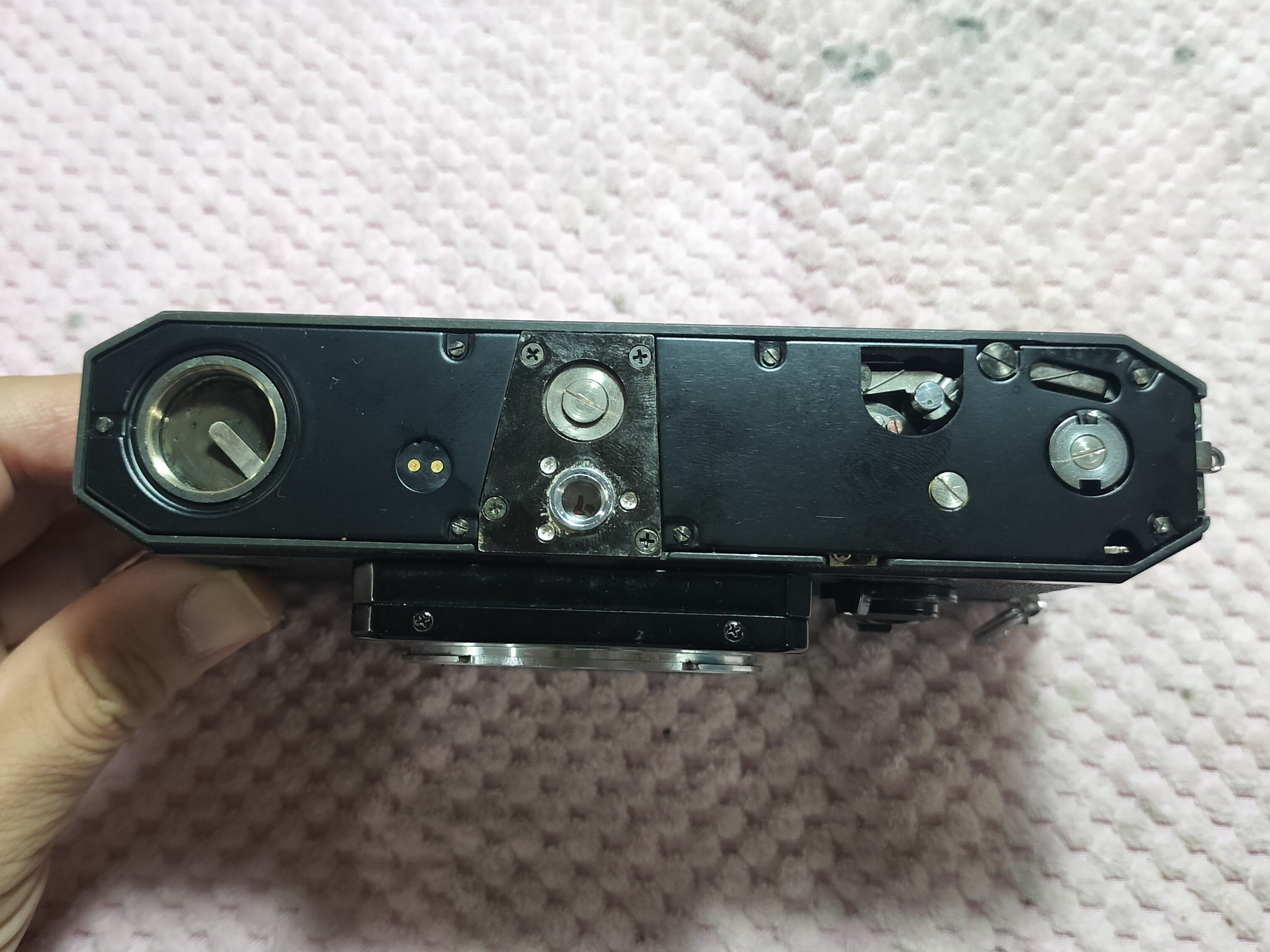 Canon F-1 底板分解｜フィルムカメラ修理のアクアカメラ