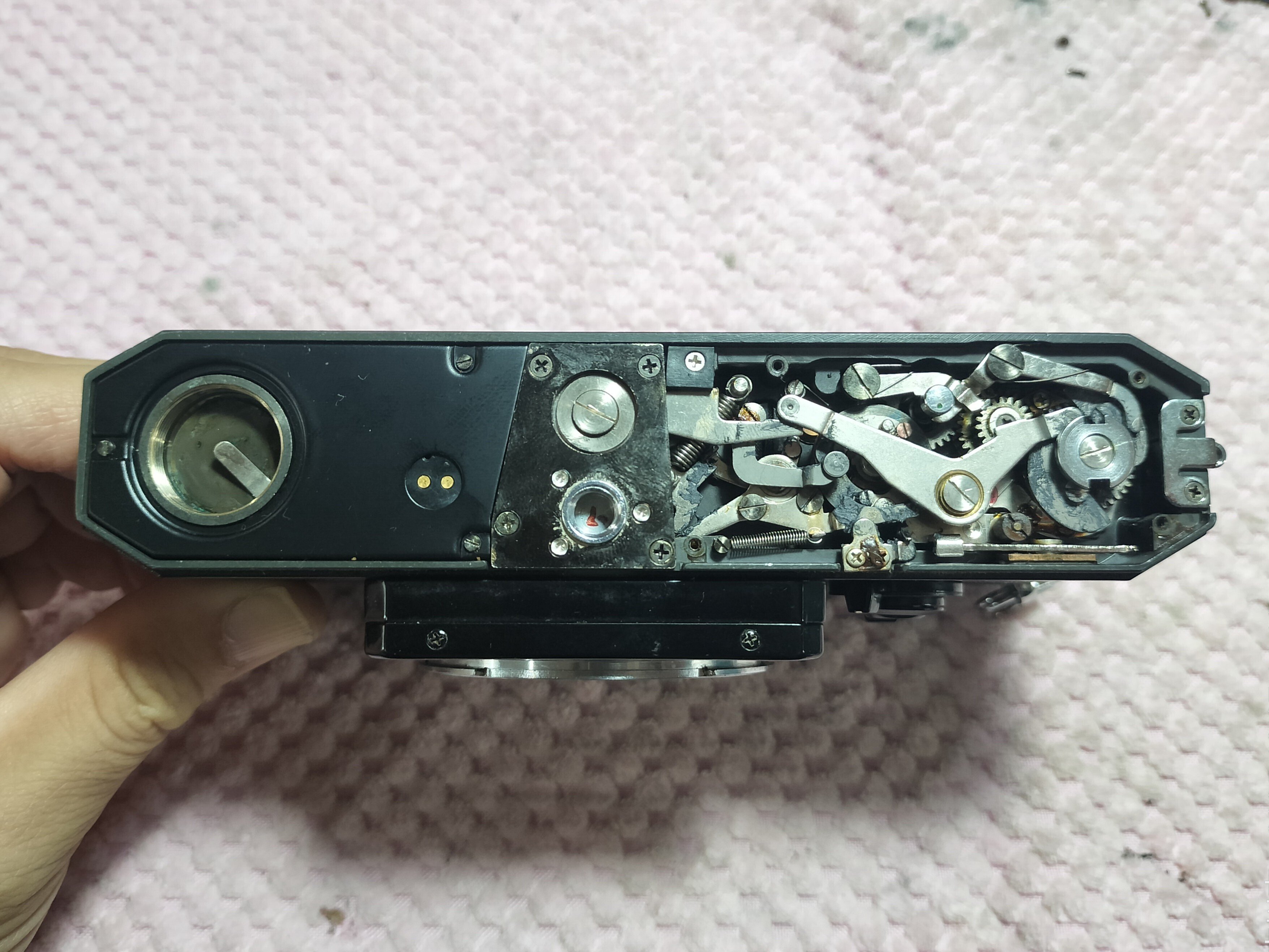 Canon F-1 底板分解｜フィルムカメラ修理のアクアカメラ