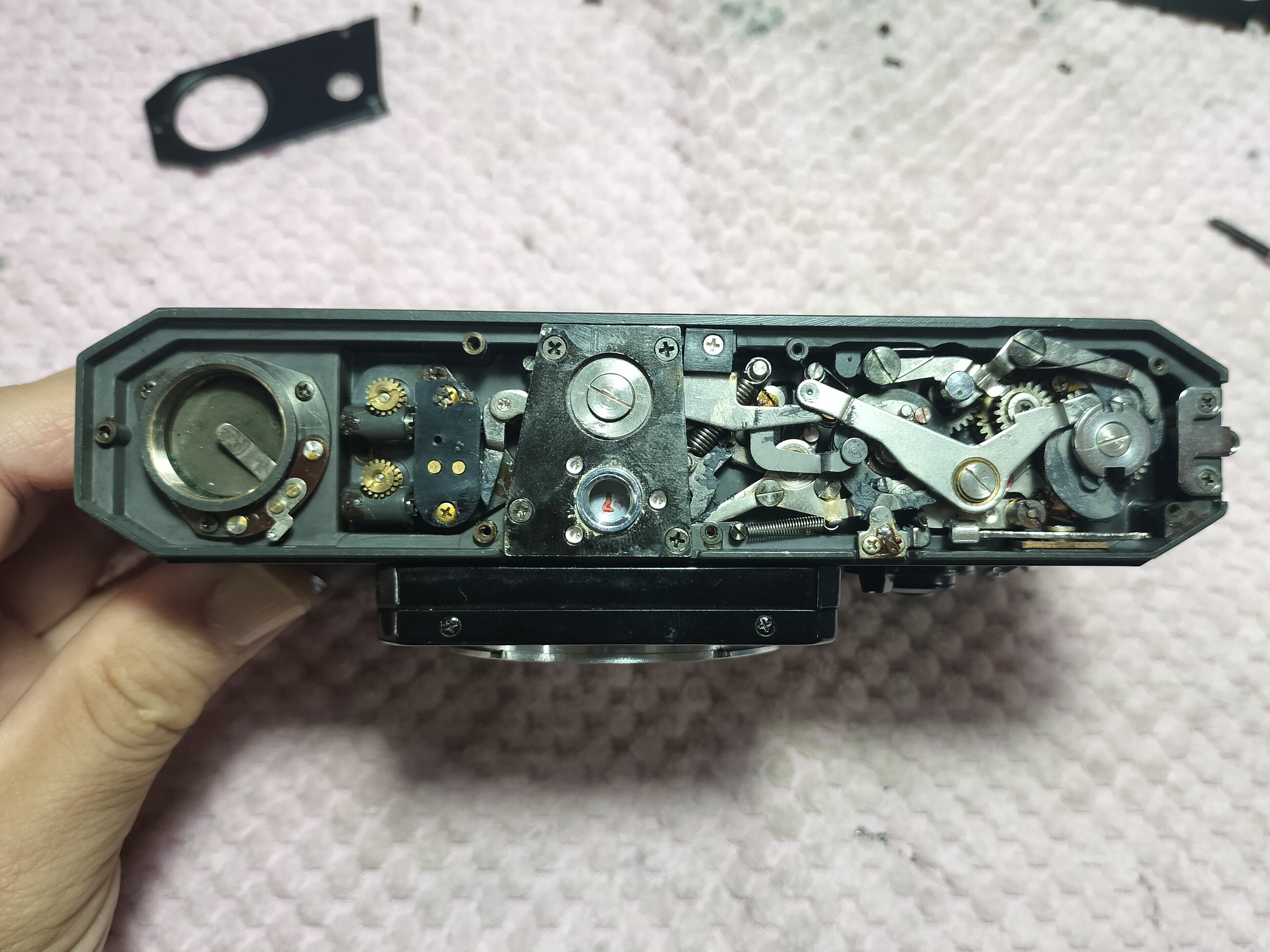 Canon F-1 底板分解｜フィルムカメラ修理のアクアカメラ