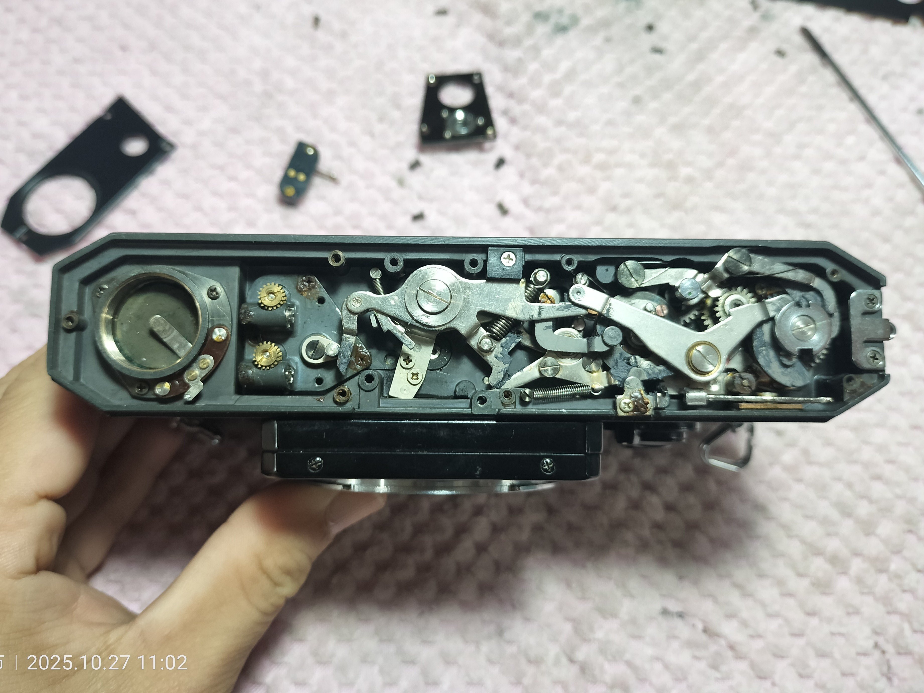 Canon F-1 底板分解｜フィルムカメラ修理のアクアカメラ