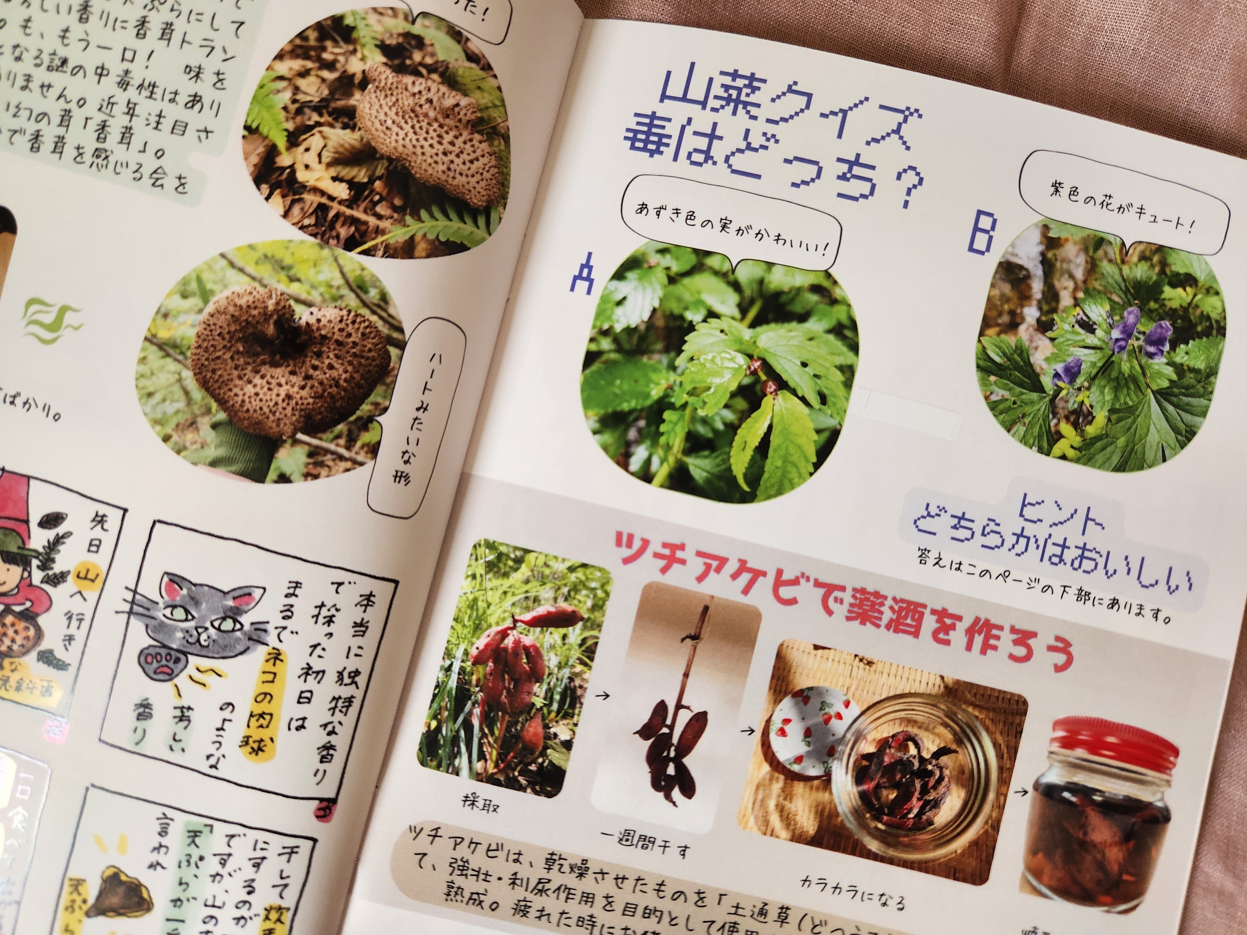 ZINE】マルシェ出店に魔法をかける｜以子