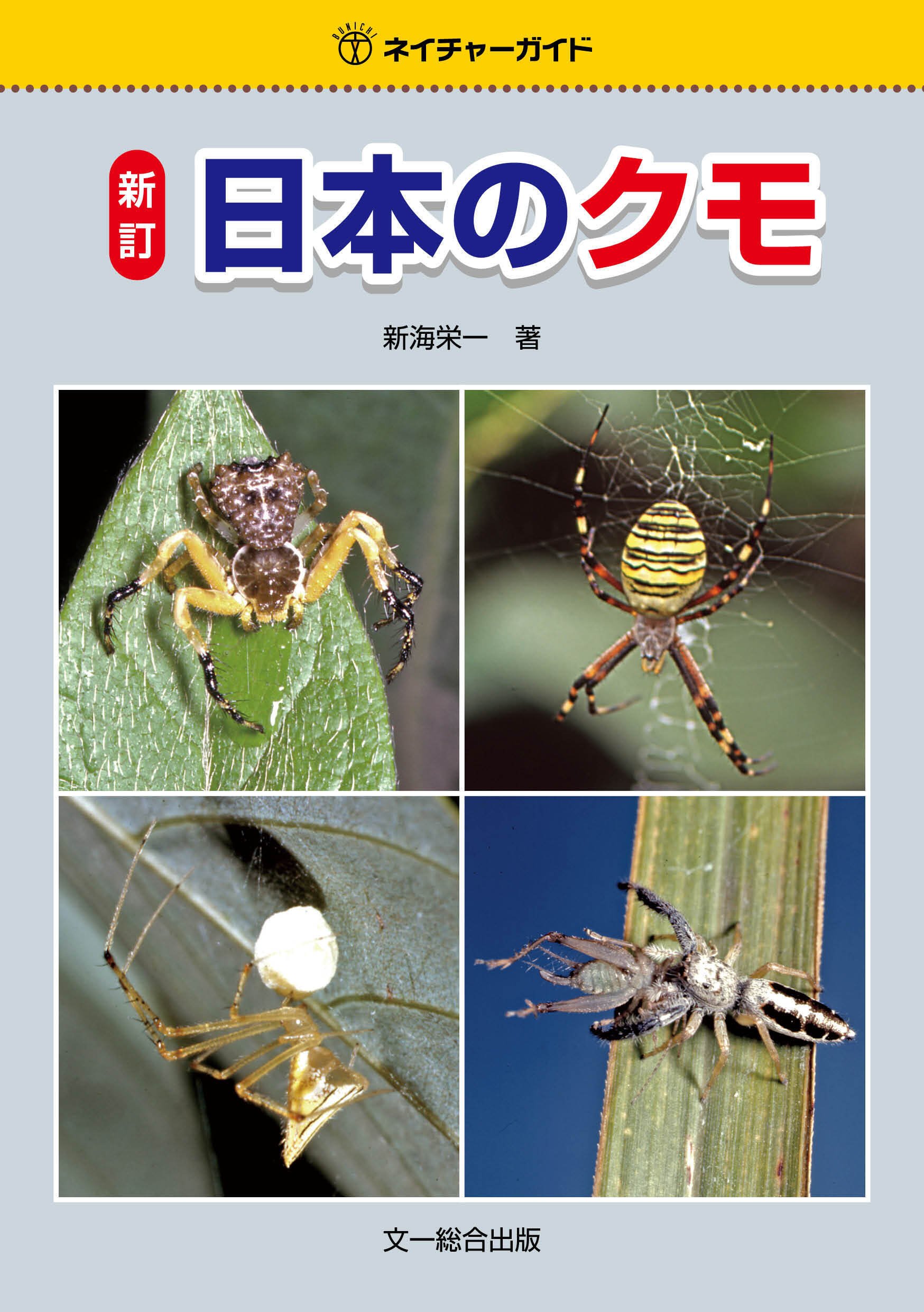 日本のクモ クモ図鑑の定番「ネイチャーガイド 新訂日本のクモ」はここがすごい