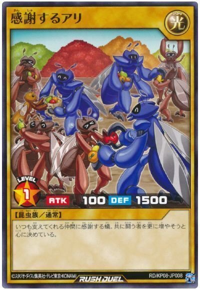 遊戯王と私の青春｜リーズ