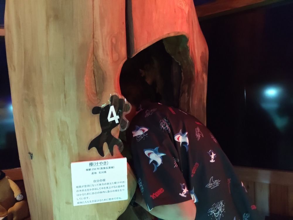 ［美品］入手困難 「テスタメント」重量級ボードゲーム プレート引き抜きコマ落とし「drop × drop」 - 旅するボードゲームブログ