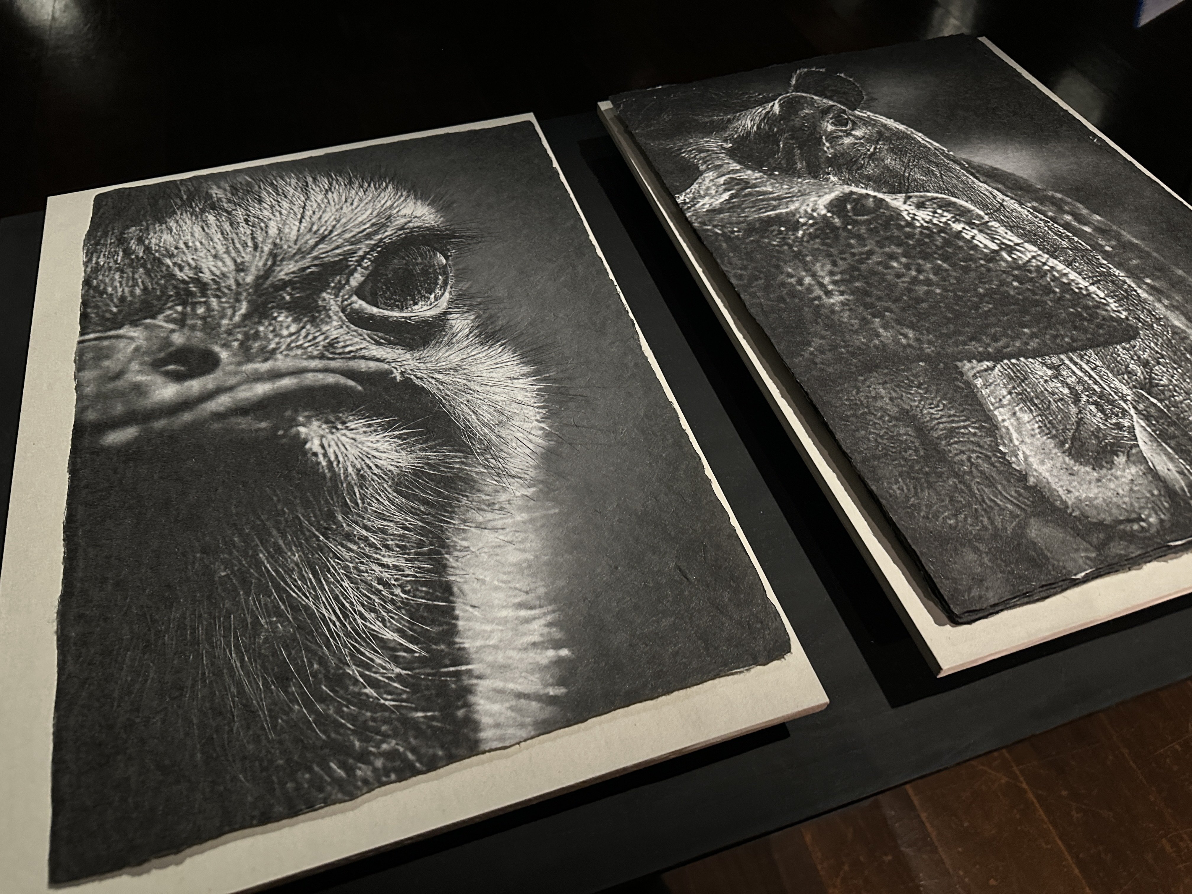 鑑賞レポート：篠田岬輝 写真展「Portraits of 3/4 ounce」｜アワガミ