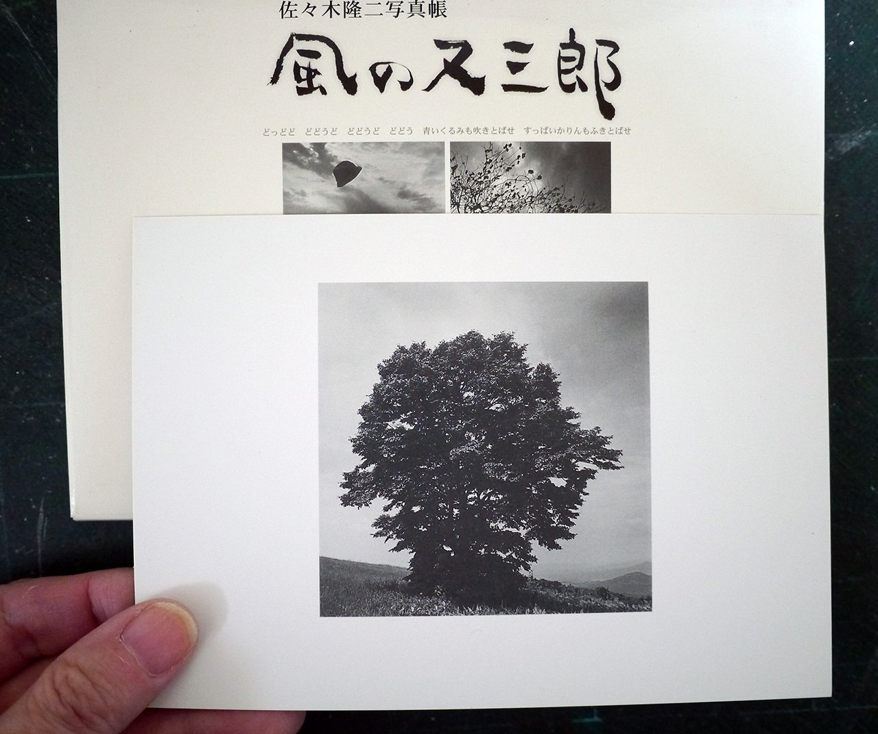 水彩画「風の又三郎」 風の又三郎|書籍詳細|扶桑社