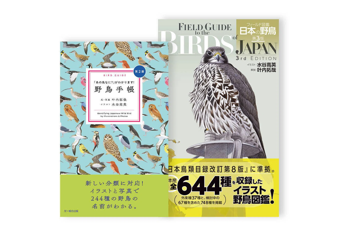 BIRDER.jp Newsletter Registration Campaign” Now Open! [November