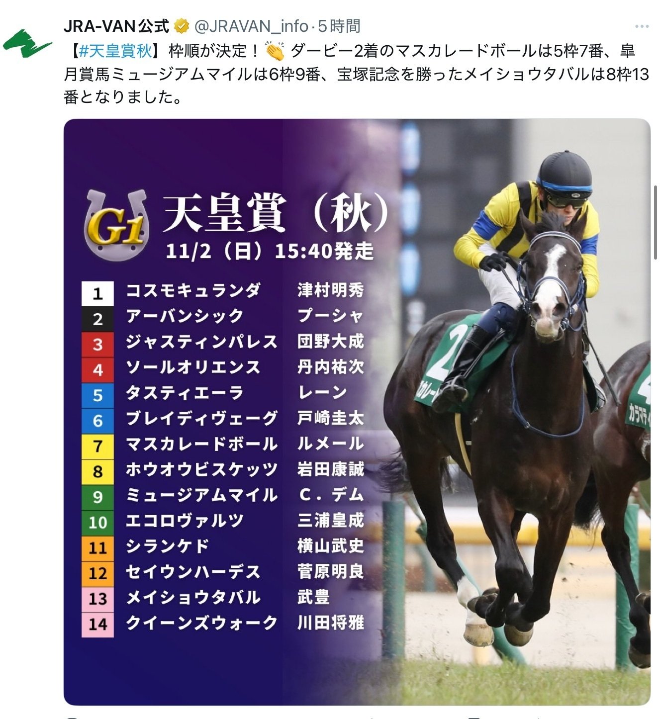 JRA］G1天皇賞秋2025サイン考察④マスカレードボールファンの