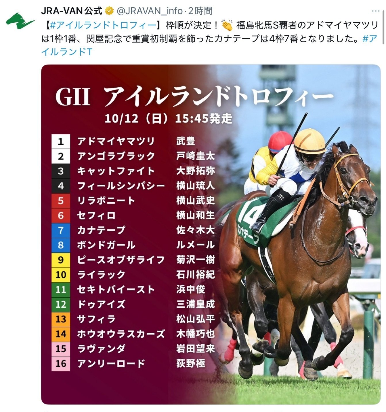 JRA］G1天皇賞秋2025サイン考察④マスカレードボールファンの
