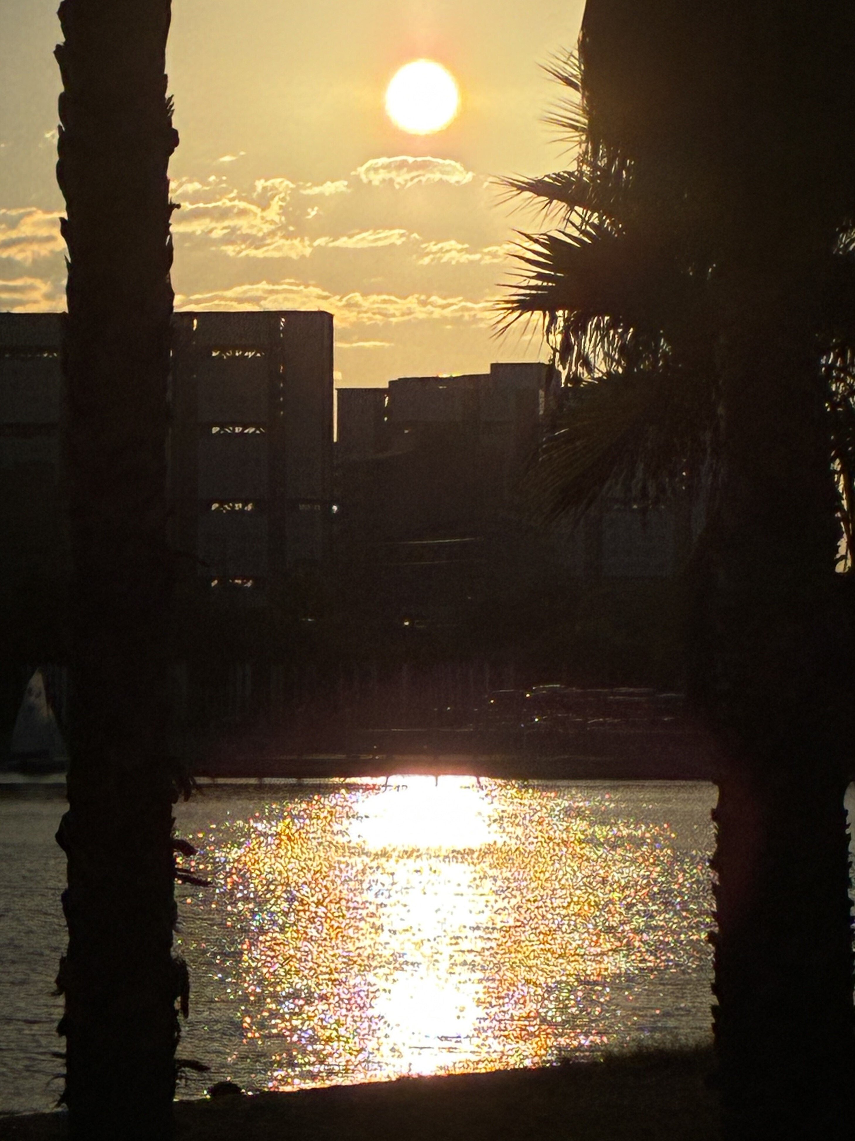 初秋の夕暮れは心地いい｜達磨の眼【本伝統文化を世界へ】