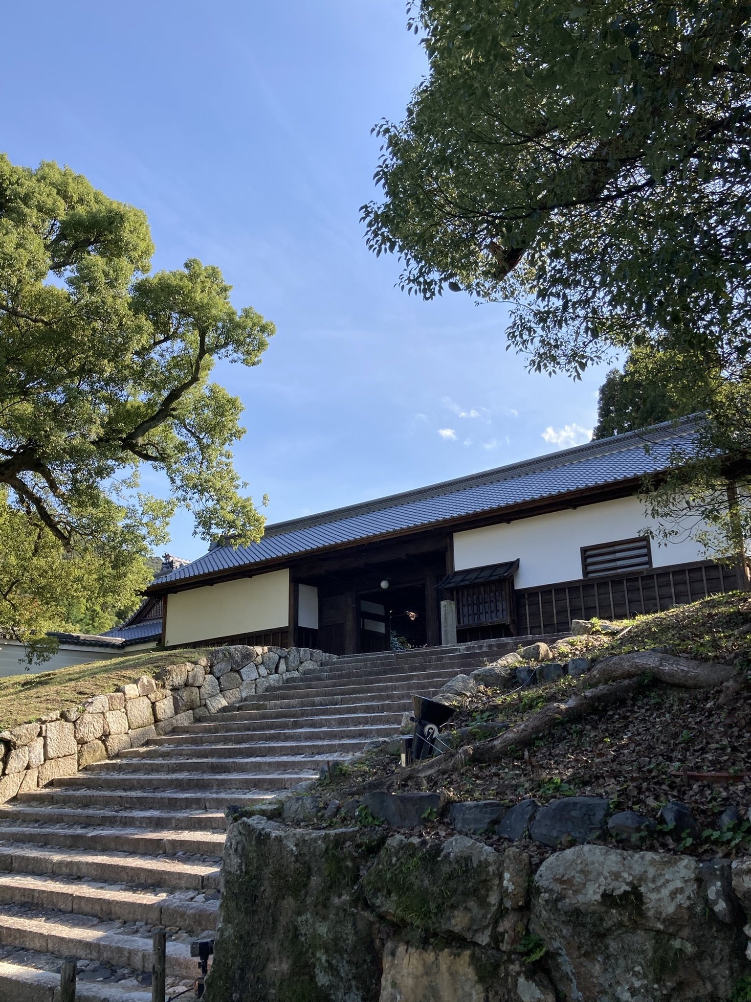 青蓮院門跡（20251030）｜やまいつ