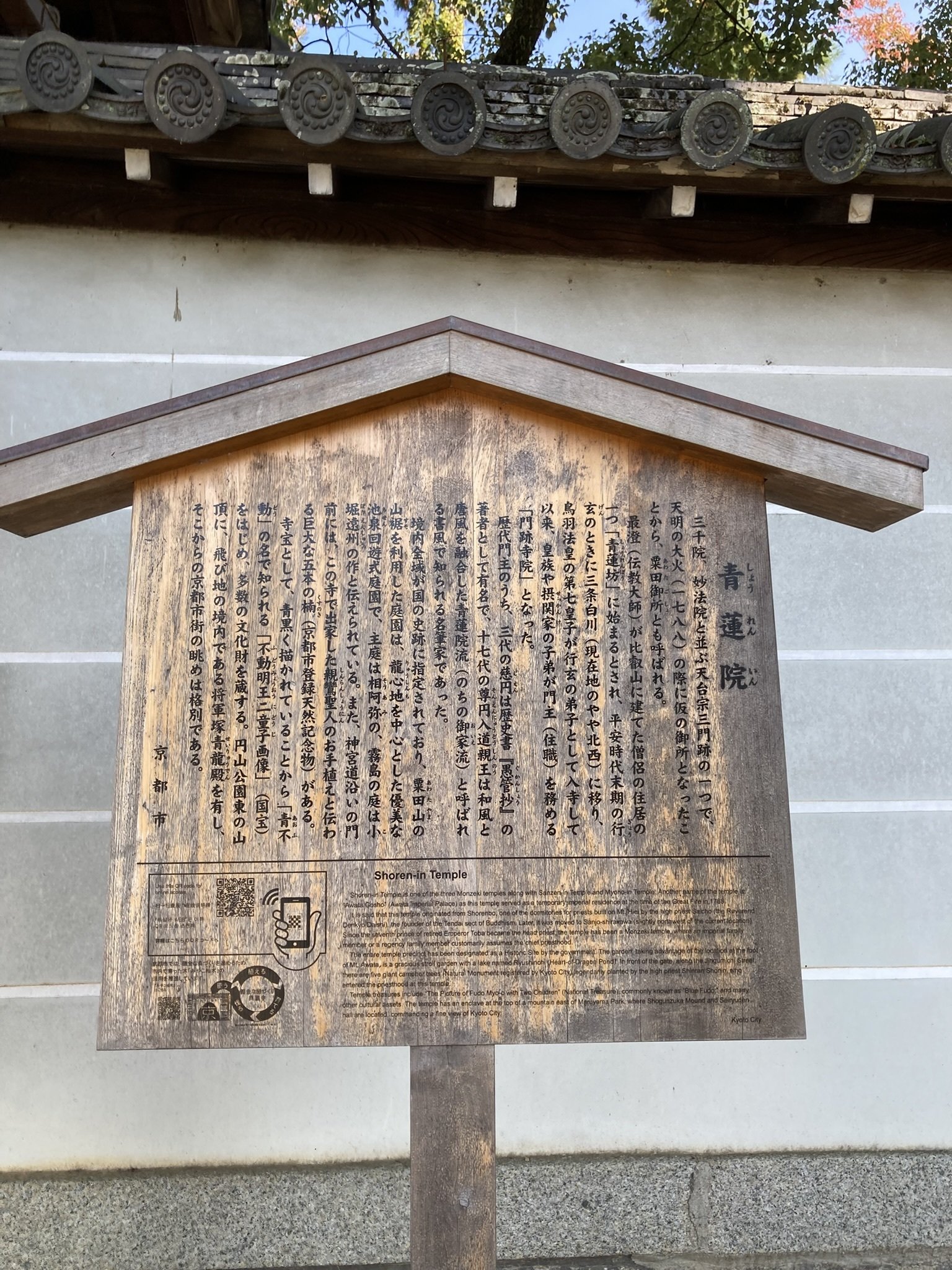 青蓮院門跡（20251030）｜やまいつ