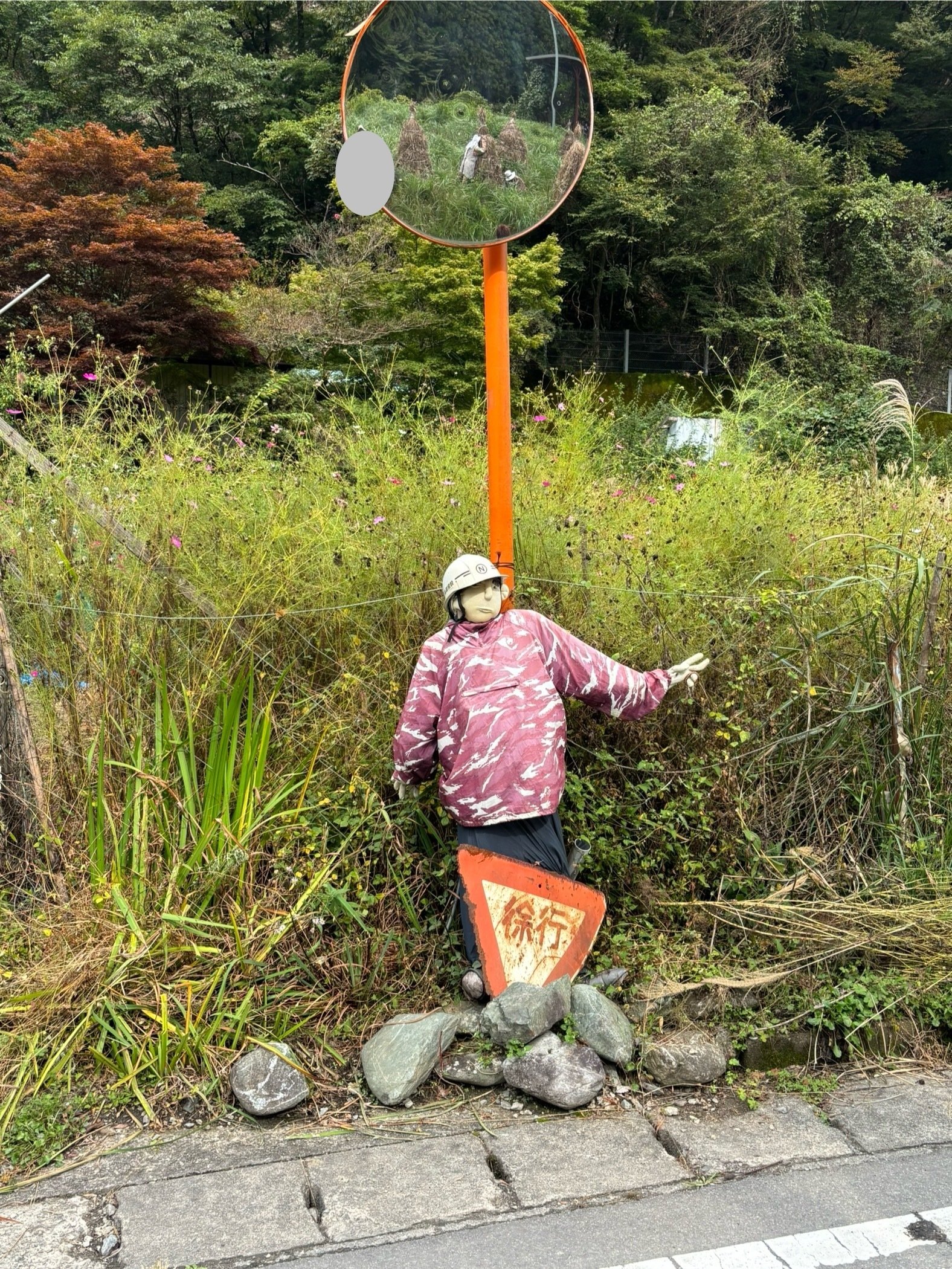 案山子｜酒匂冷奴