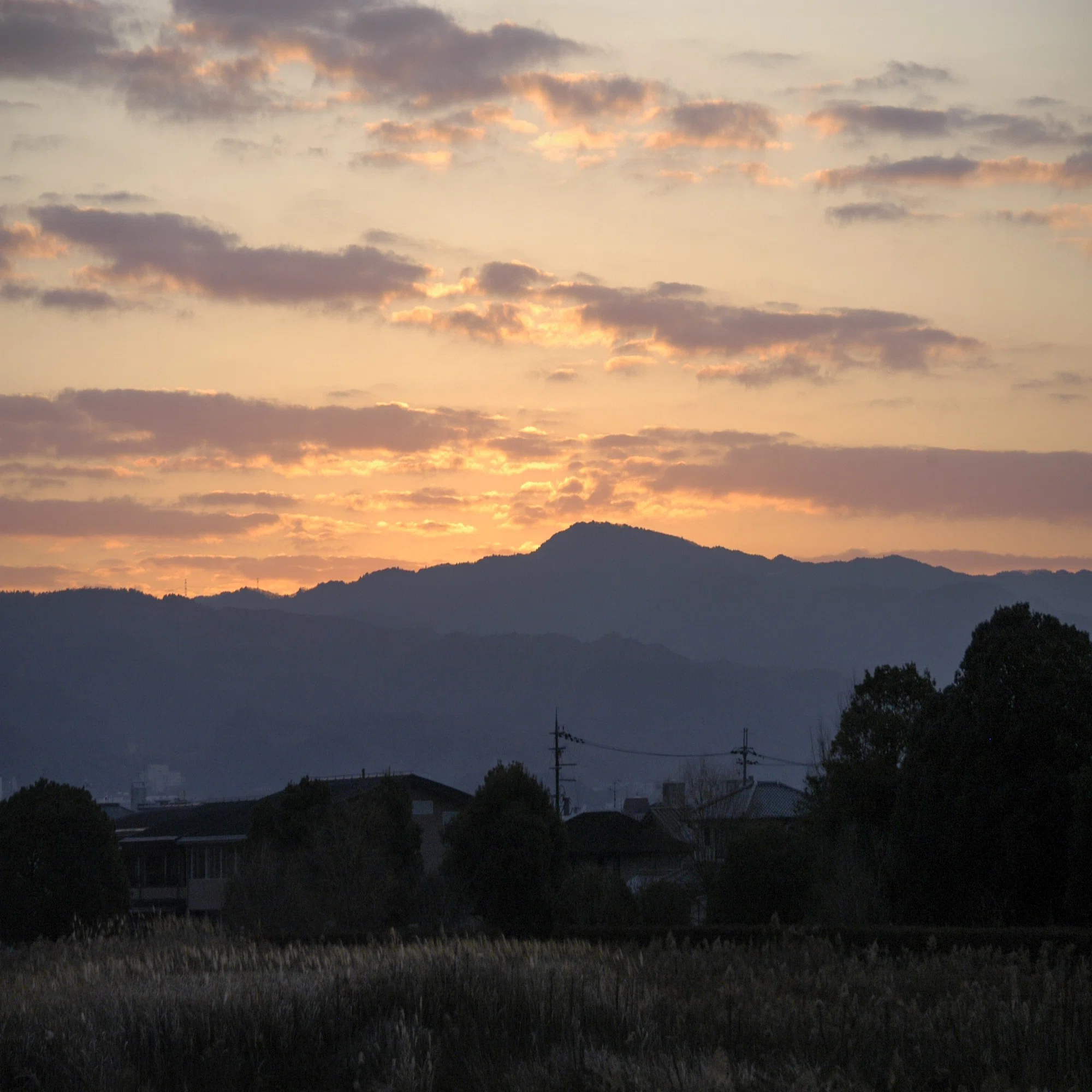 CCD機と戯れる - Nikon D100｜Daichi Okamoto