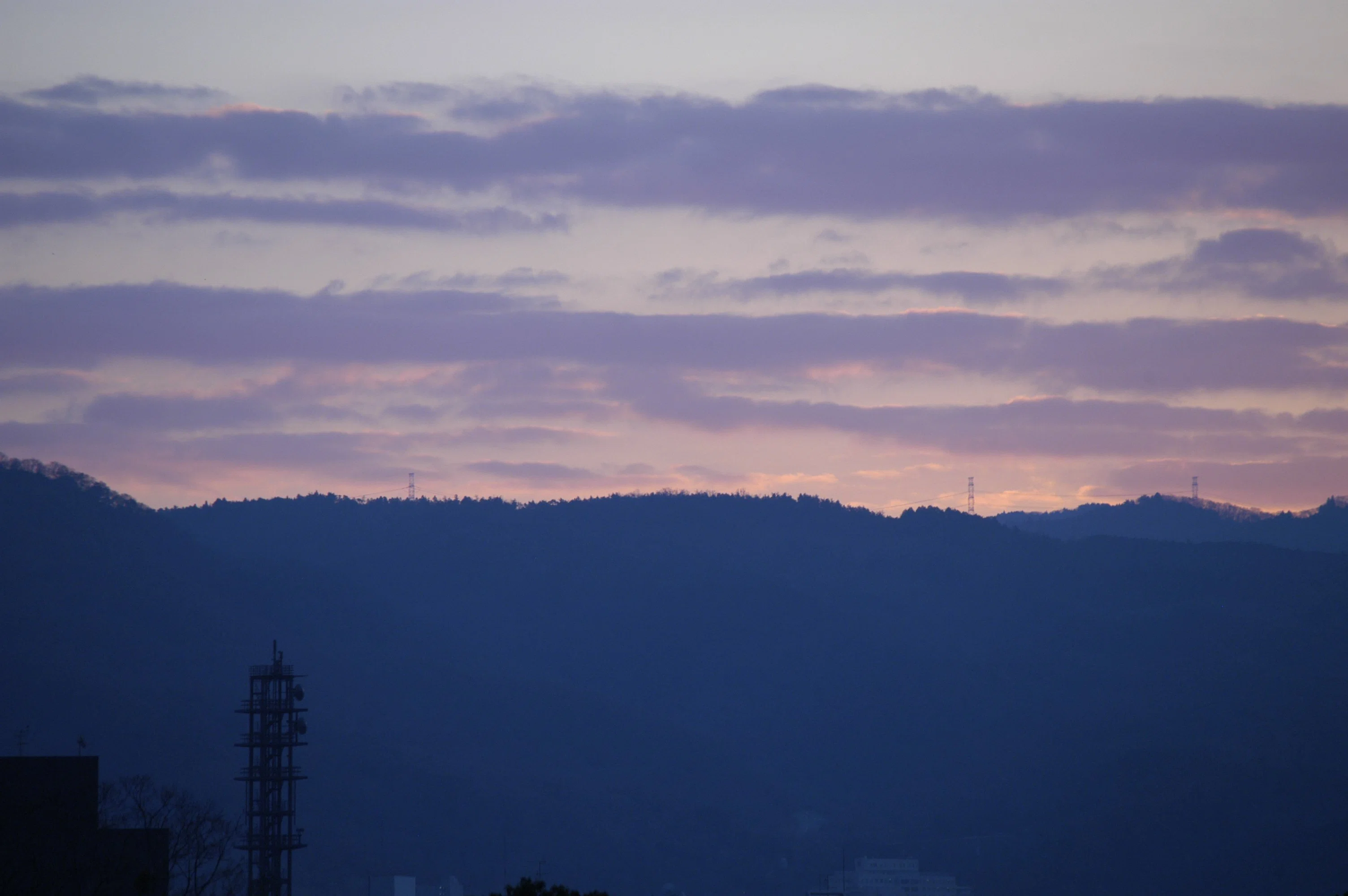 CCD機と戯れる - Nikon D100｜Daichi Okamoto