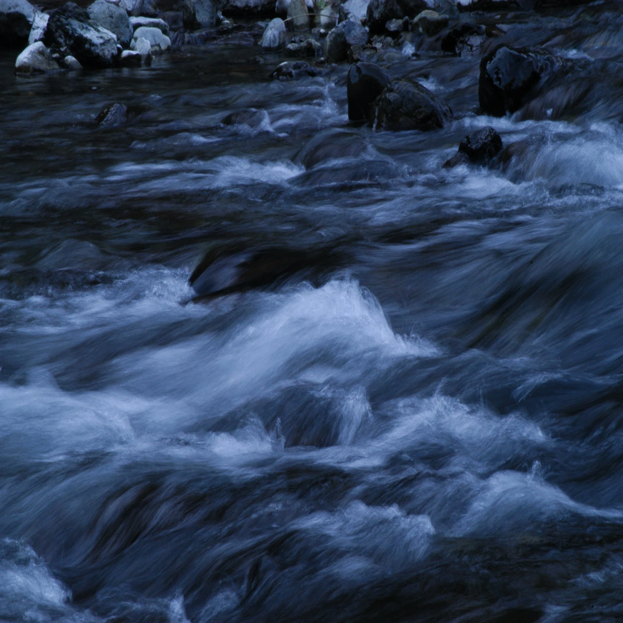 CCD機と戯れる - Nikon D100｜Daichi Okamoto