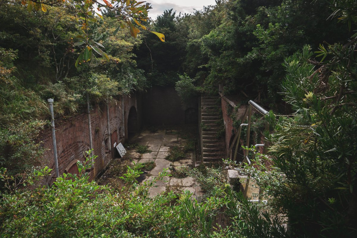 フォトギャラリーの写真