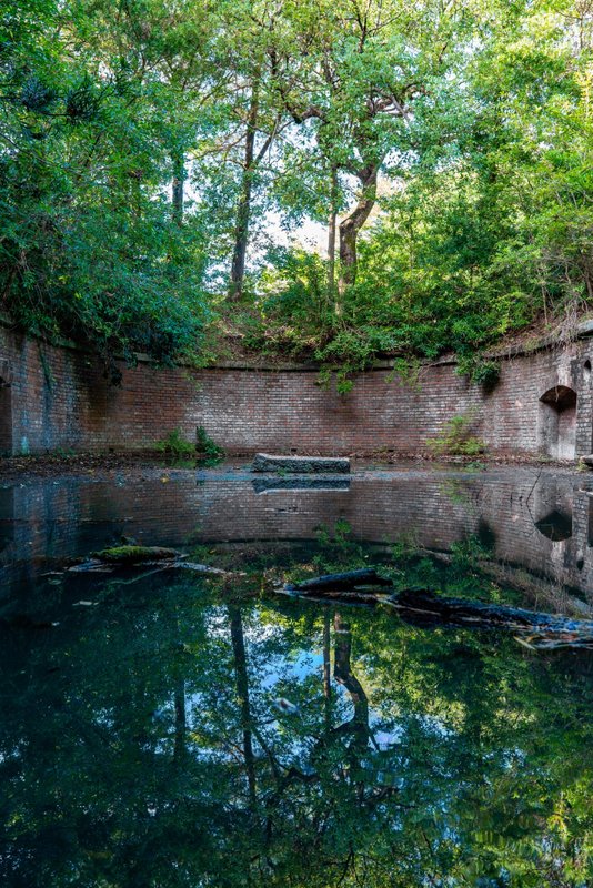 フォトギャラリーの写真