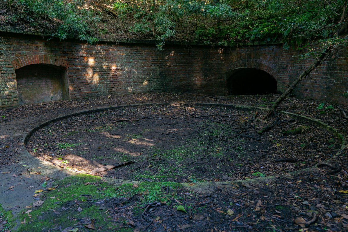 フォトギャラリーの写真