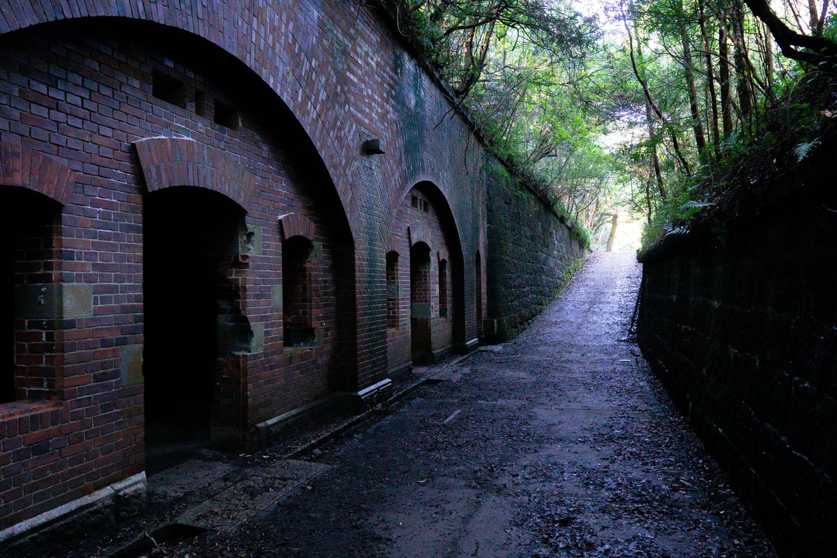 フォトギャラリーの写真