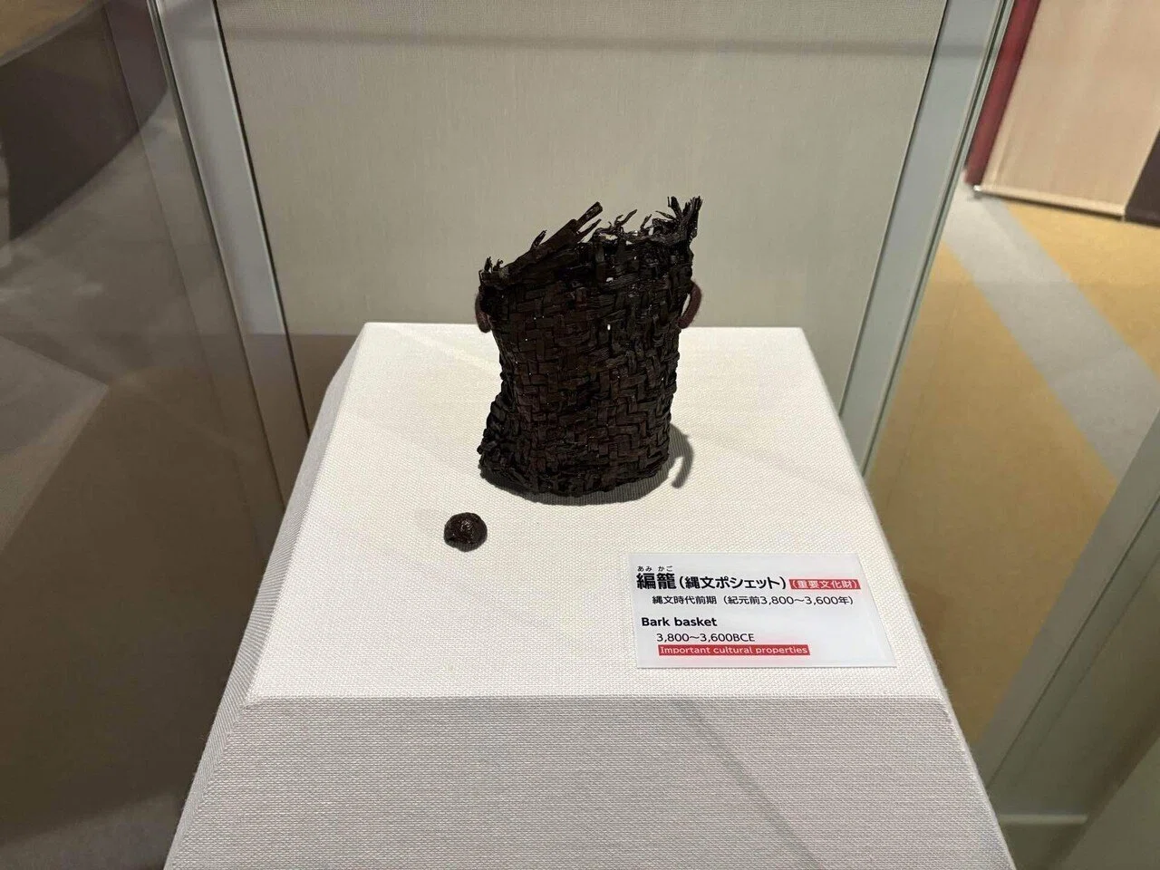 豊かな森の文化が栄えたムラ 世界遺産の三内丸山遺跡-縄文時遊館【紀行 