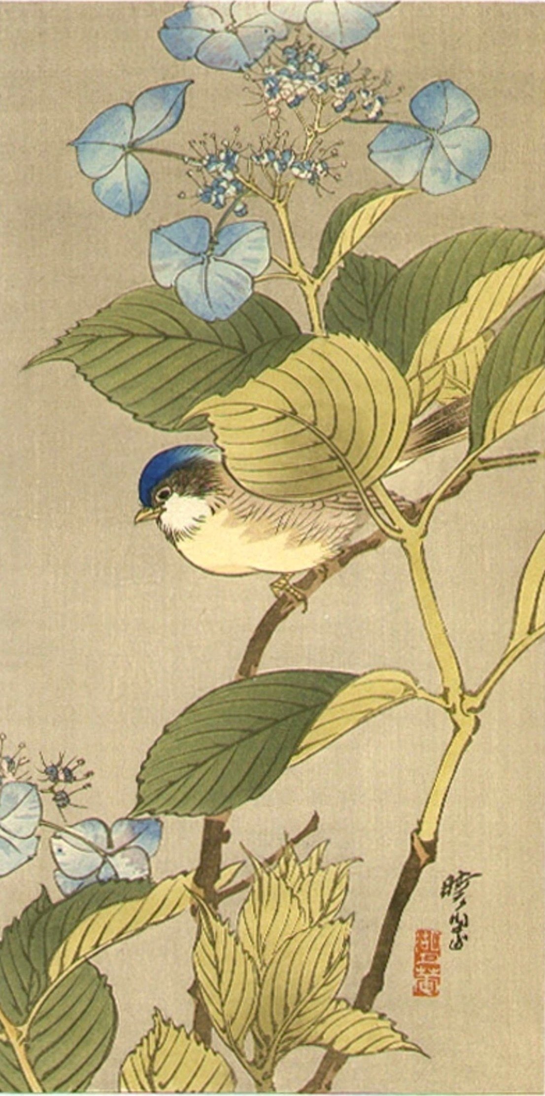 今日の一枚）河鍋暁翠：花の咲いた枝に止まる青い鳥｜artoday - chiaki