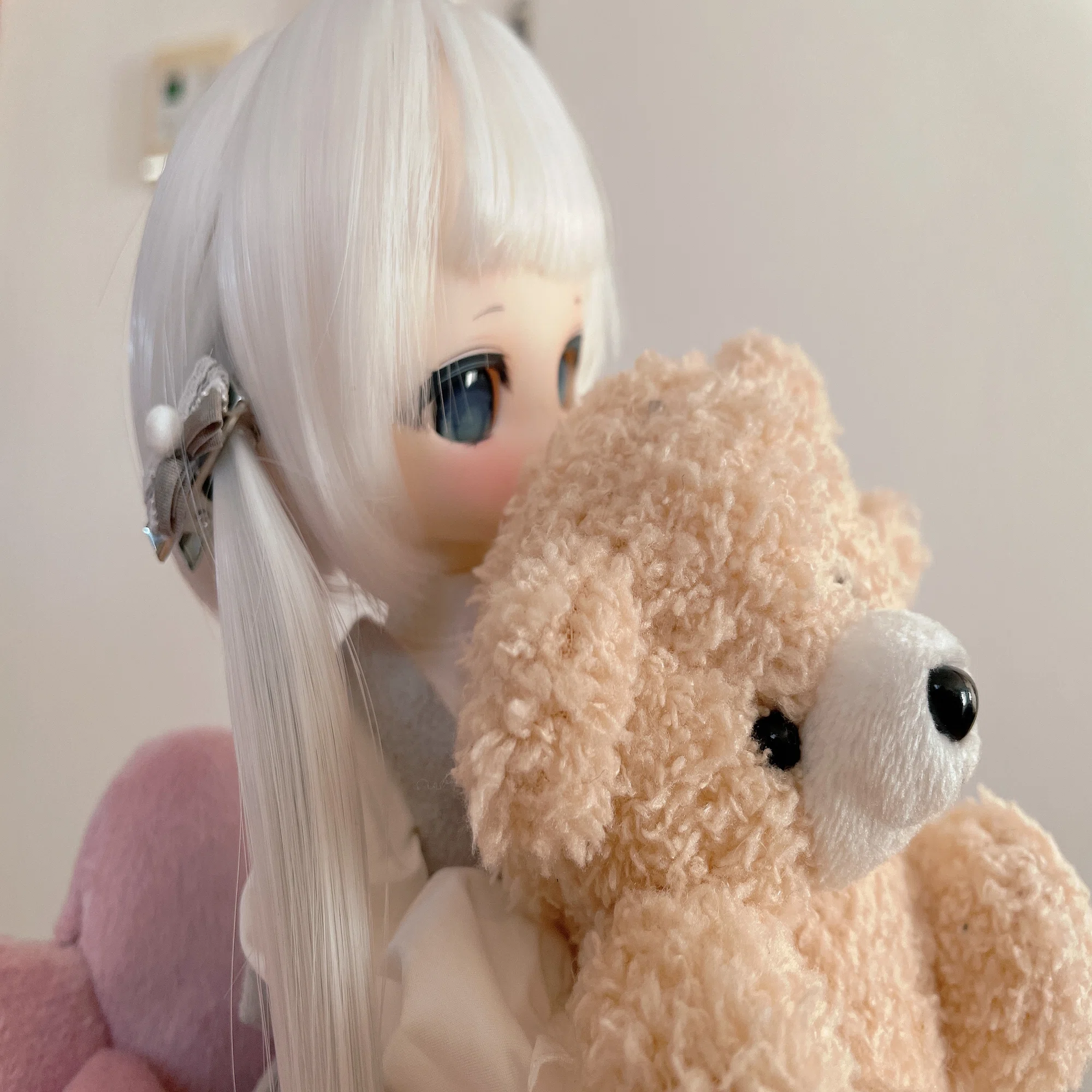 写真】最近お迎えしたTinyFoxをとにかく見せびらかす記事｜べいだー