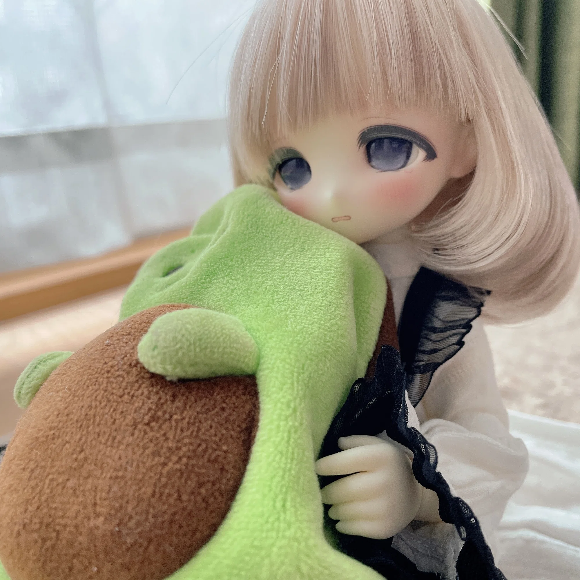 写真】最近お迎えしたTinyFoxをとにかく見せびらかす記事｜べいだー